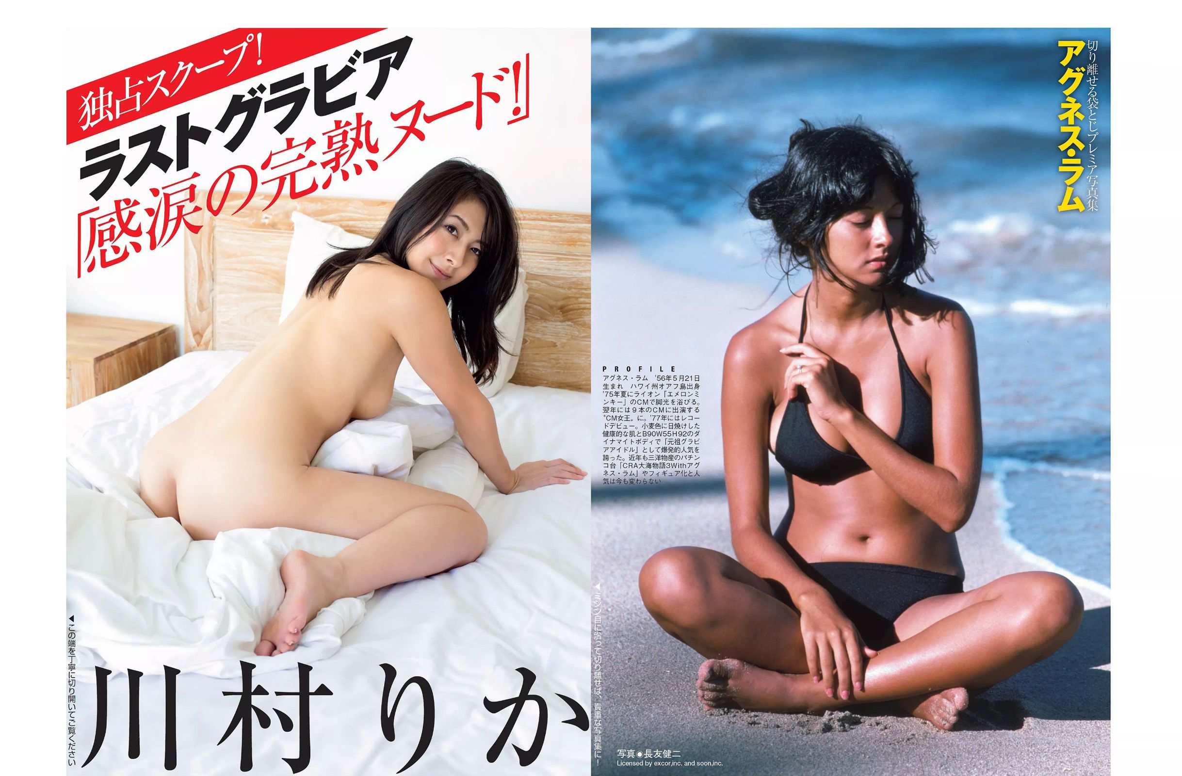 [FLASH] 2015.11.10-17 橋本マナミ アグネス?ラム 川村りか 柳ゆり菜 山田菜々 紺野美沙子  第13张