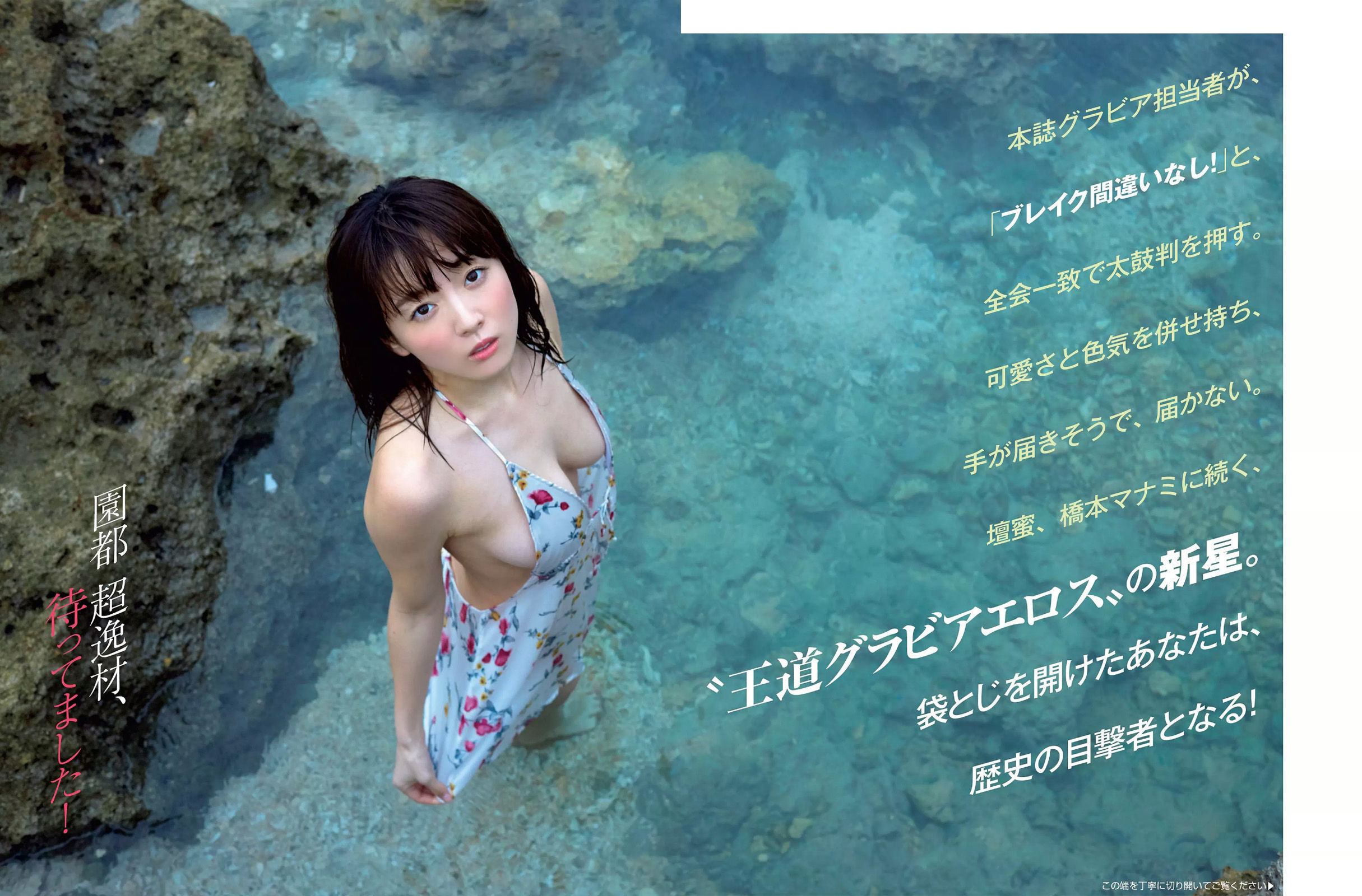 [FLASH] 2017.04.25 桜井玲香 山本美憂 園都 ANRI  第17张