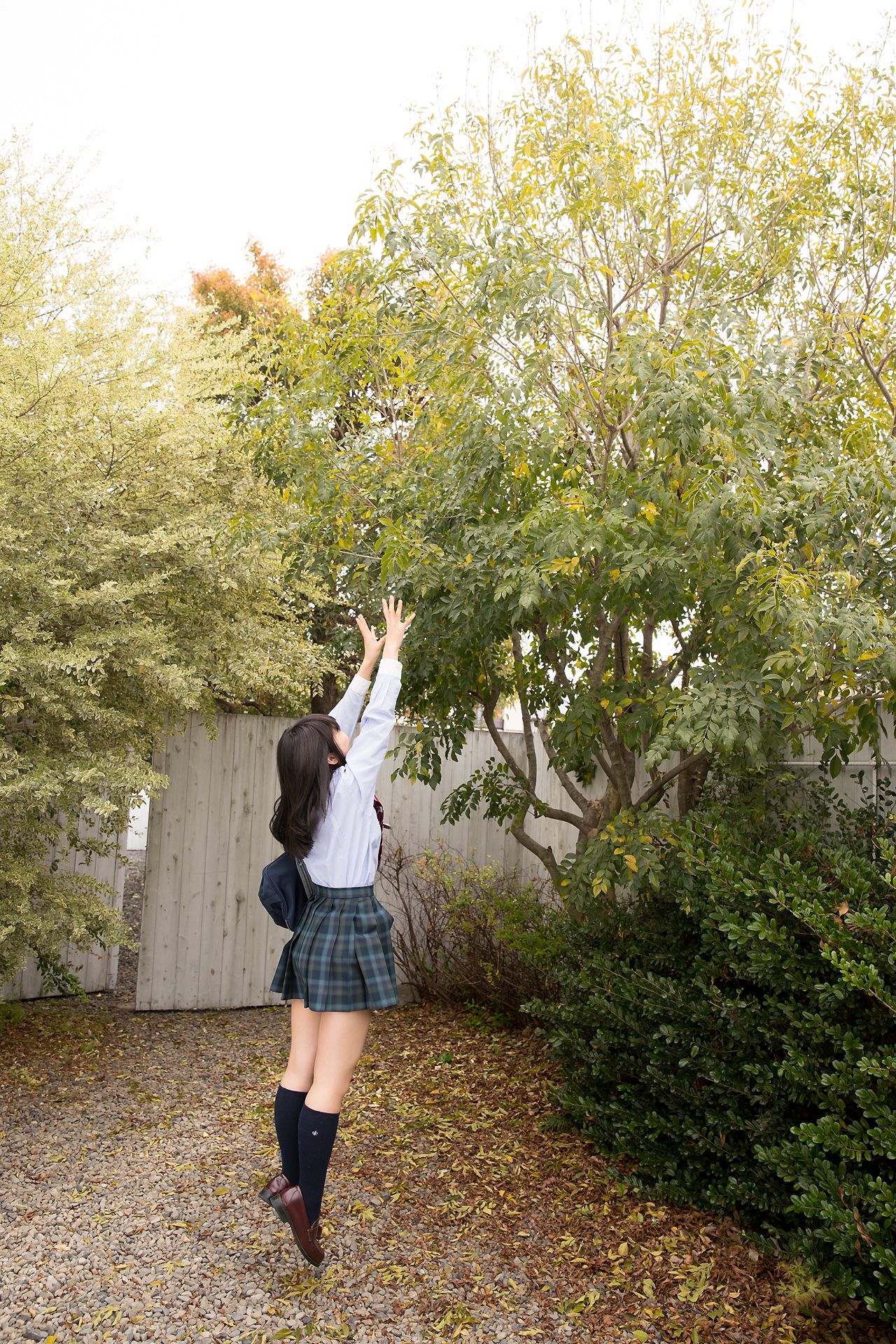 [Minisuka.tv] Ai Takanashi 高梨あい - Regular Gallery 11.1  第24张