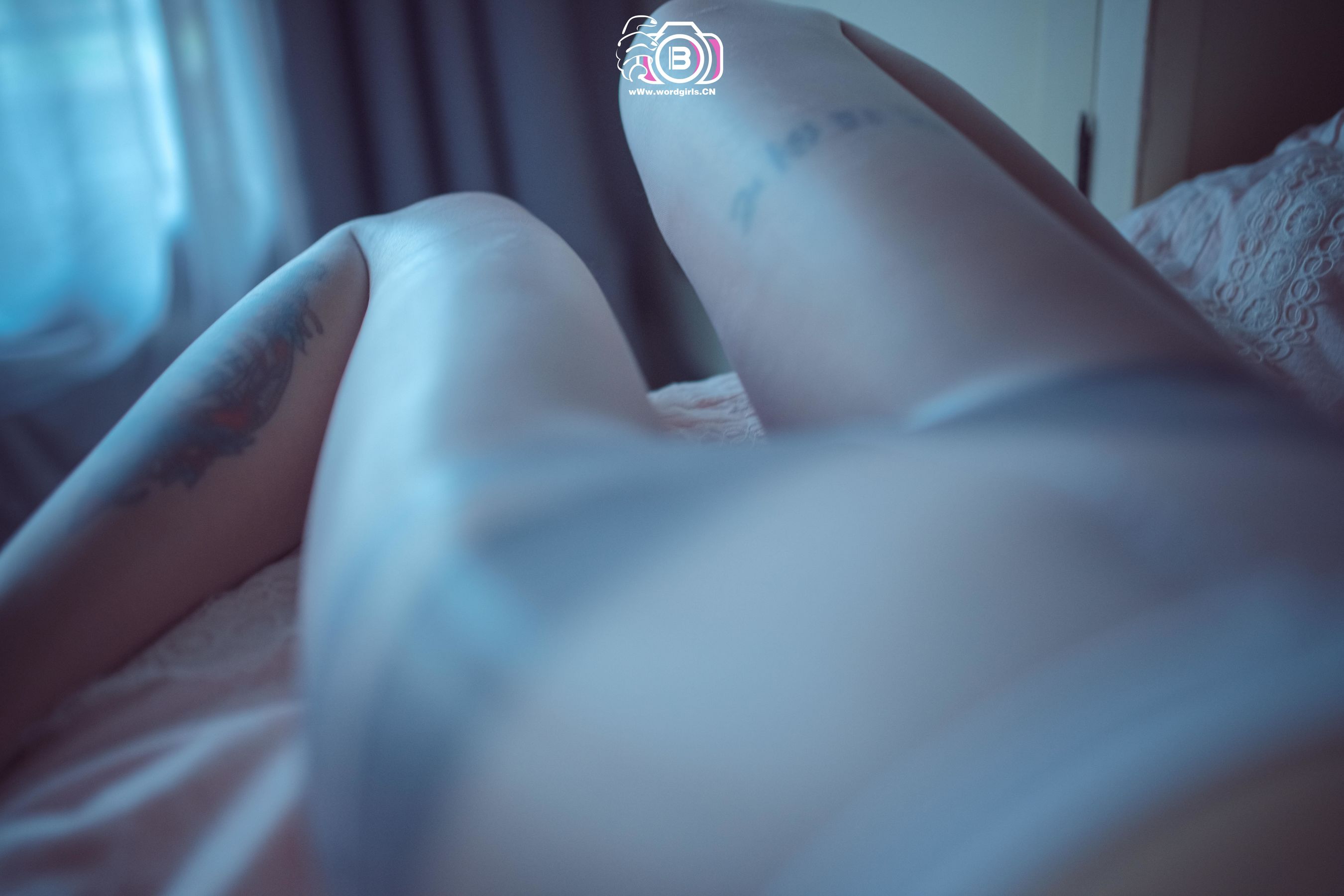 [宅急约WordGirls] No.806 李温柔 女主播李温柔的涨粉日记  第35张