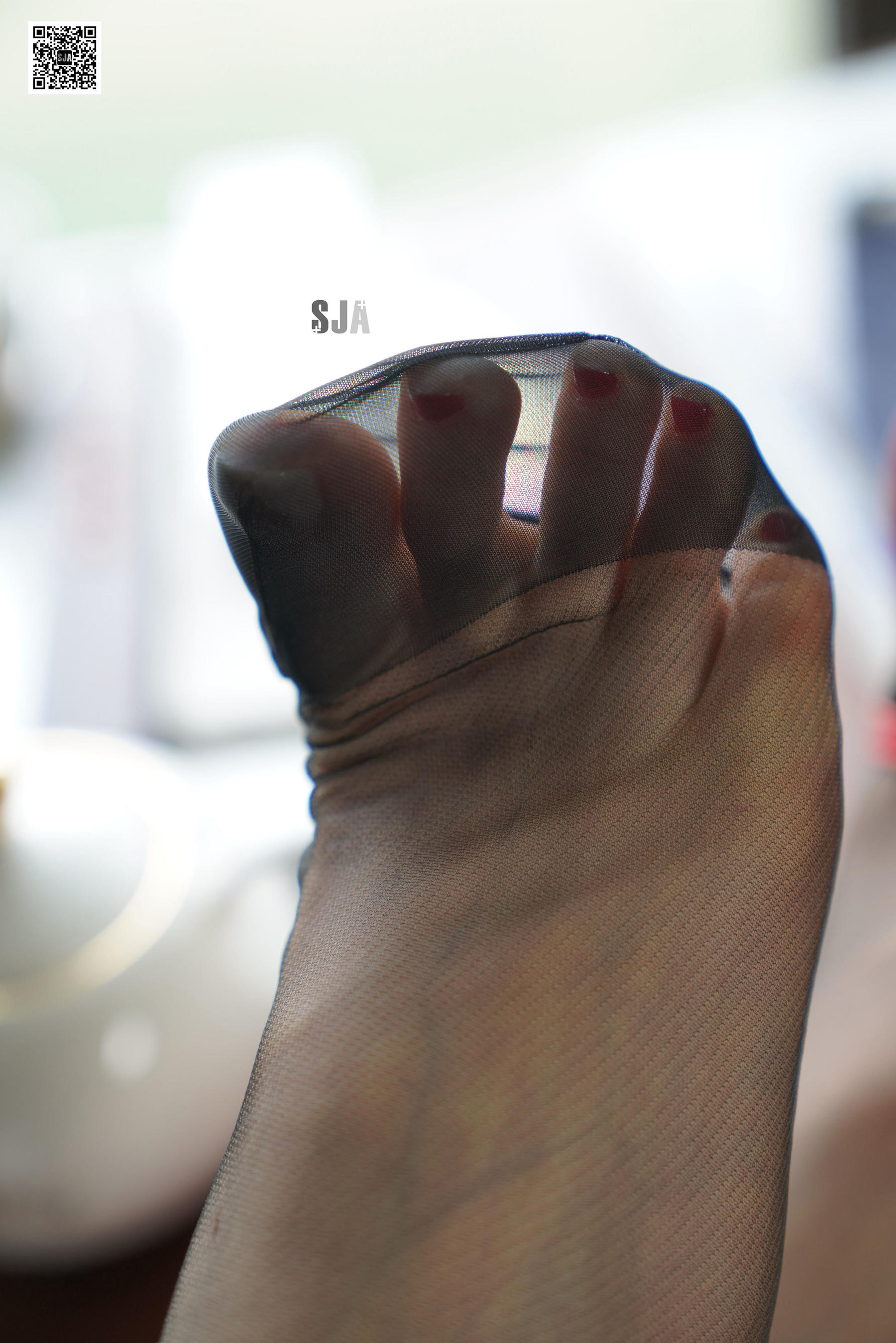 [佳爷SJA] 新刊SJA010 佳爷 《毒》  第12张