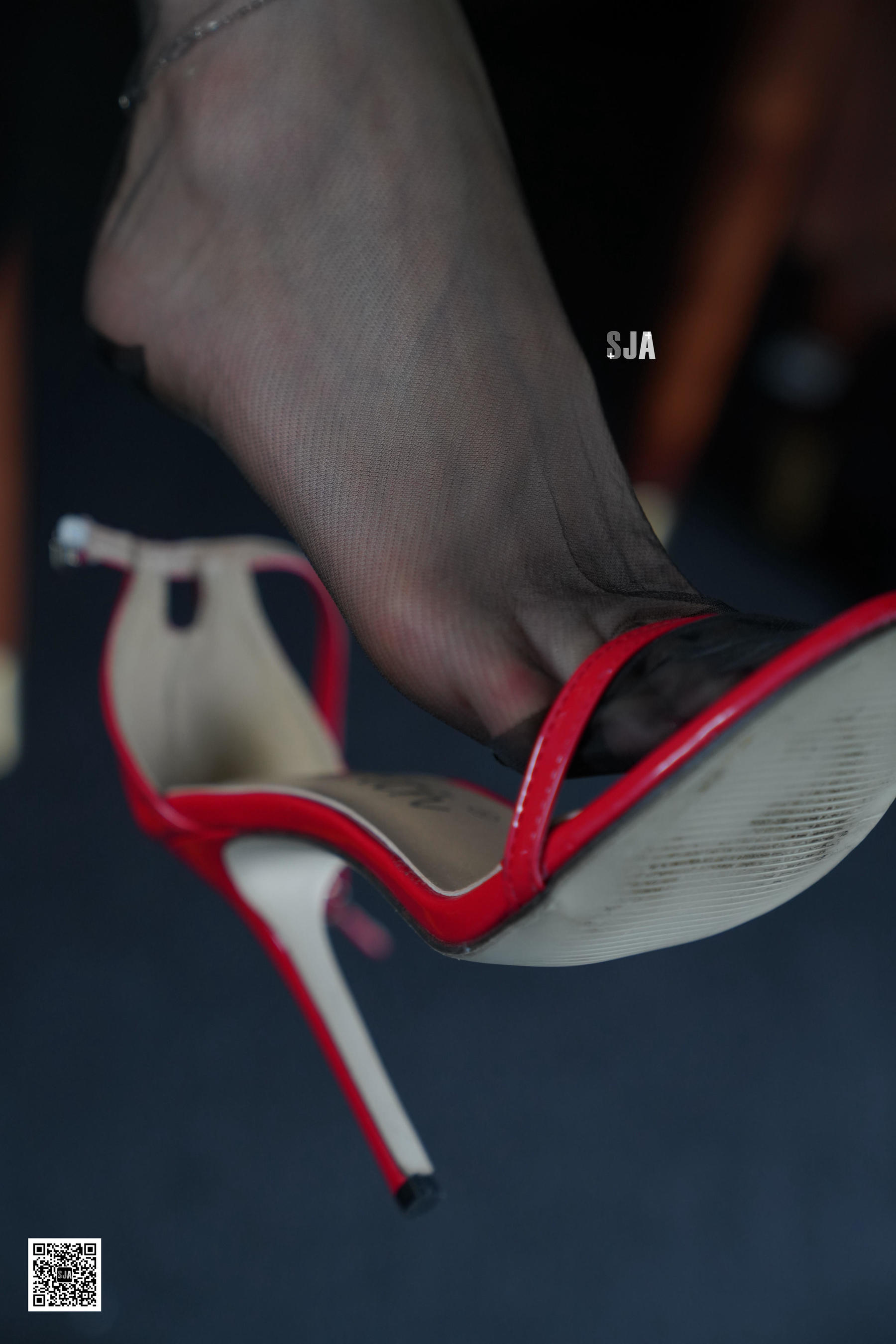 [佳爷SJA] 新刊SJA010 佳爷 《毒》  第34张