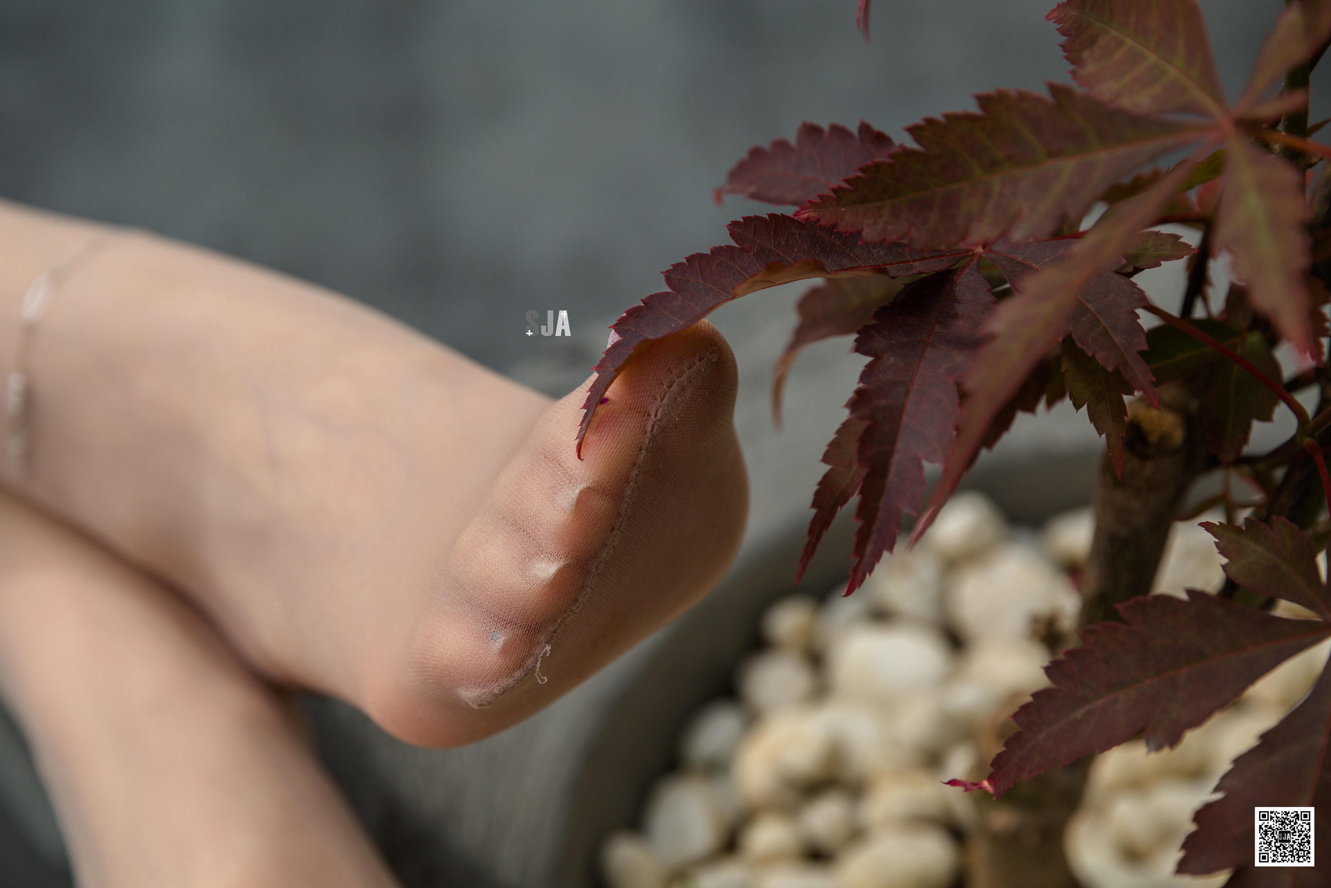 [佳爷SJA] 新刊SJA012 佳爷 心底的那一抹柔软  第8张