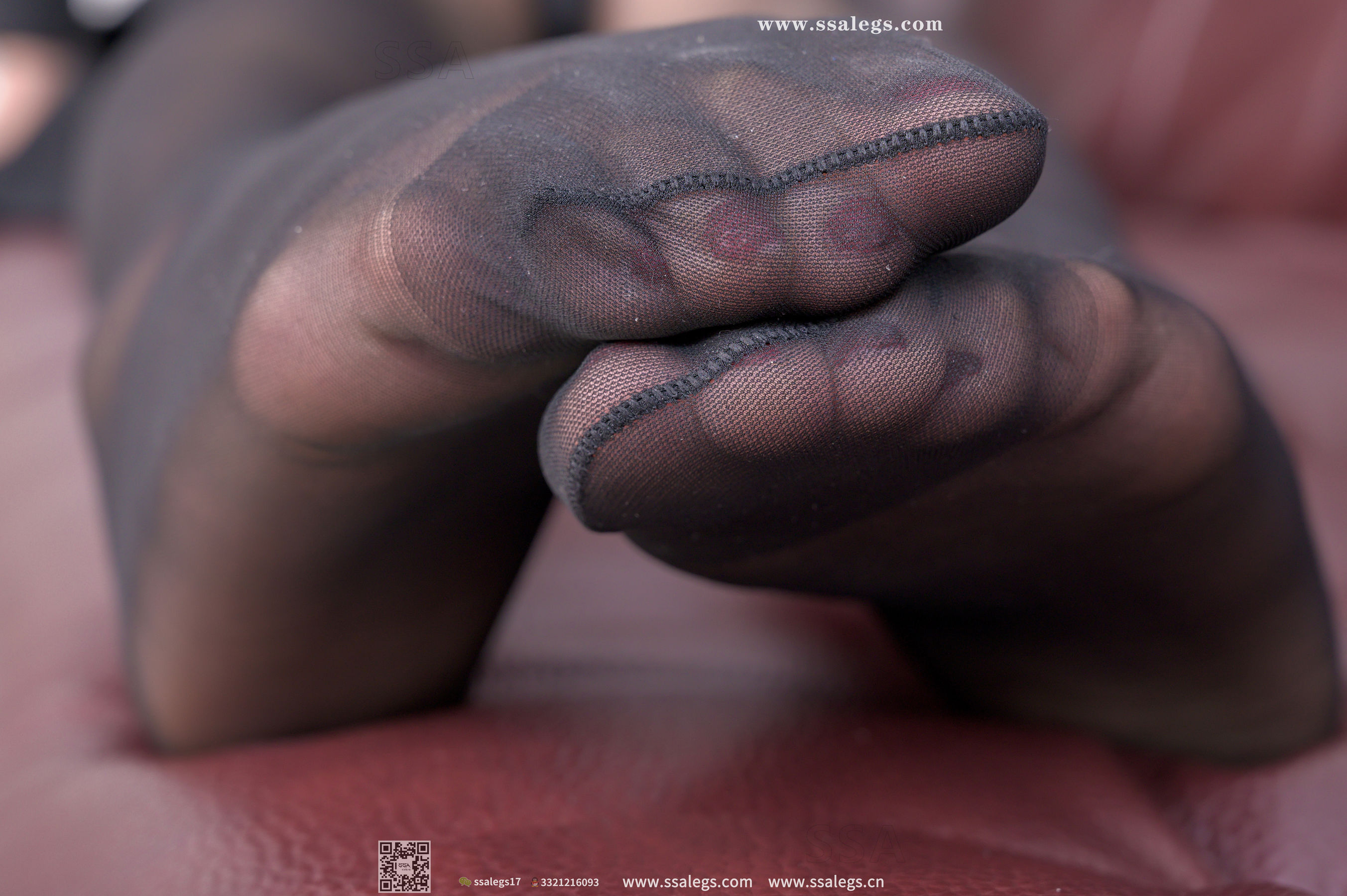 [SSA丝社]超清写真 No.337 莹莹 黑色改良旗袍下大长腿黑丝  第13张