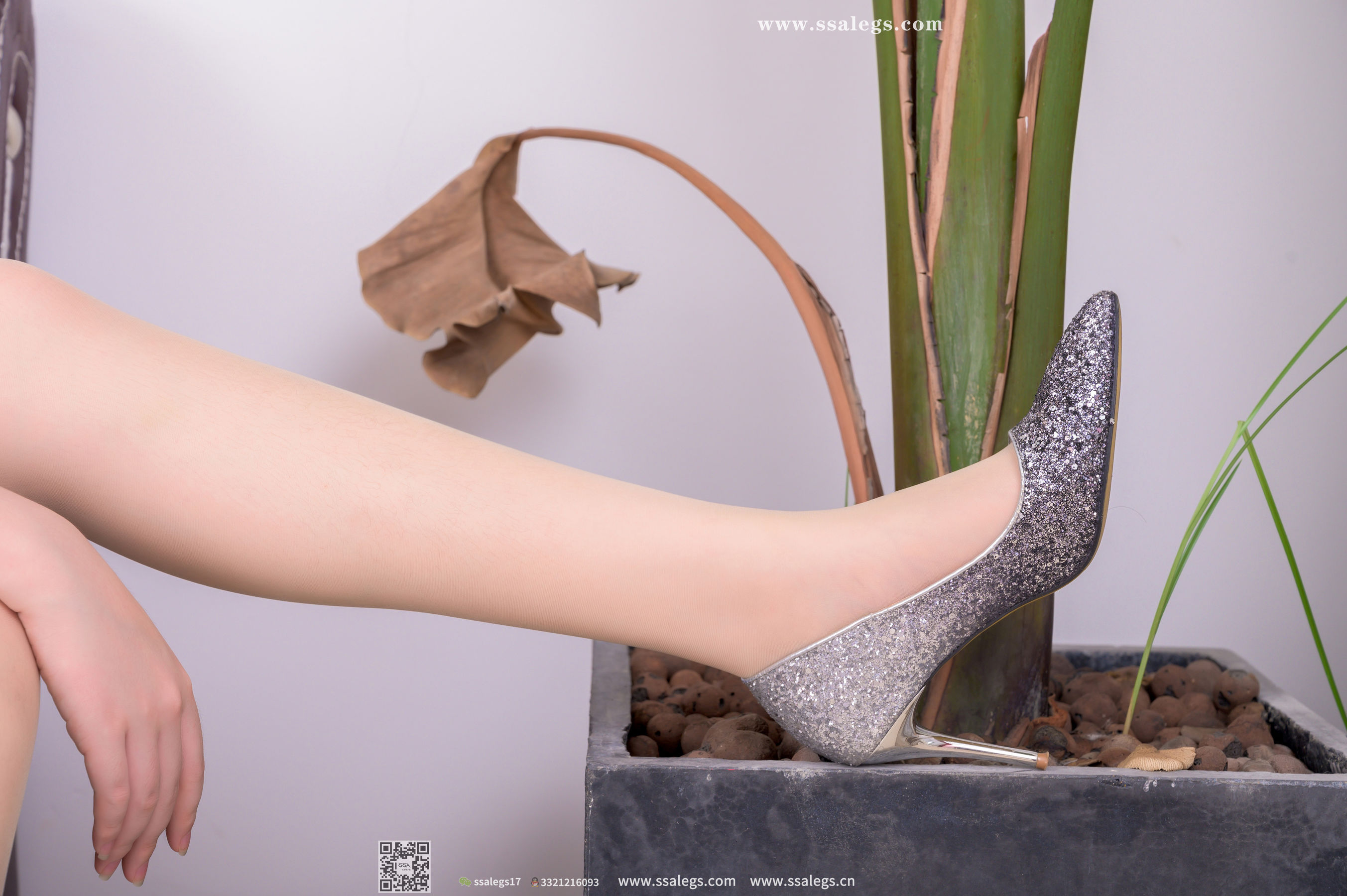 [SSA丝社]超清写真 No.389 春晓 春眠不觉晓，新模肉丝袜(上)  第88张