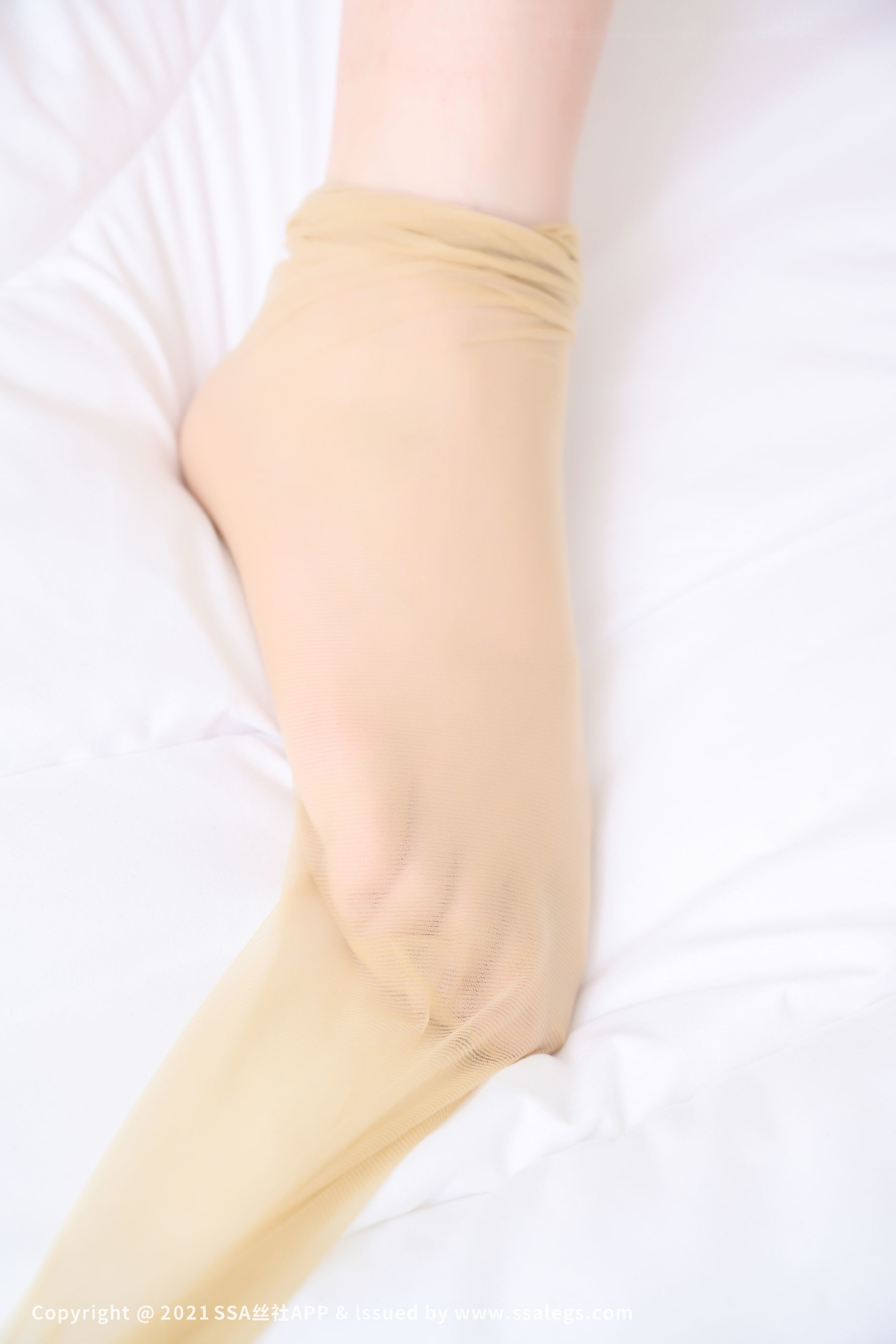 [SSA丝社]超清写真 No.721 模特薇薇 浪莎丝袜美脚（下）  第94张