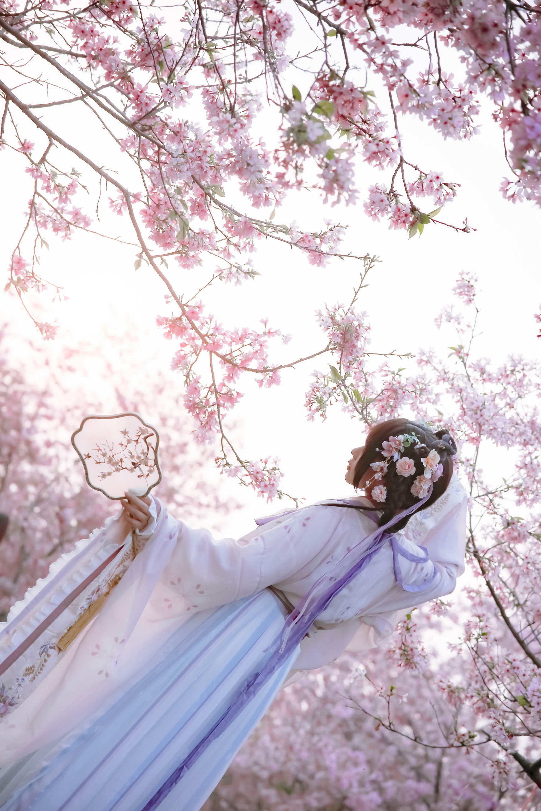 [福利COS] 萌妹子Nyako喵子 - 樱花汉服 花神祈愿  第54张