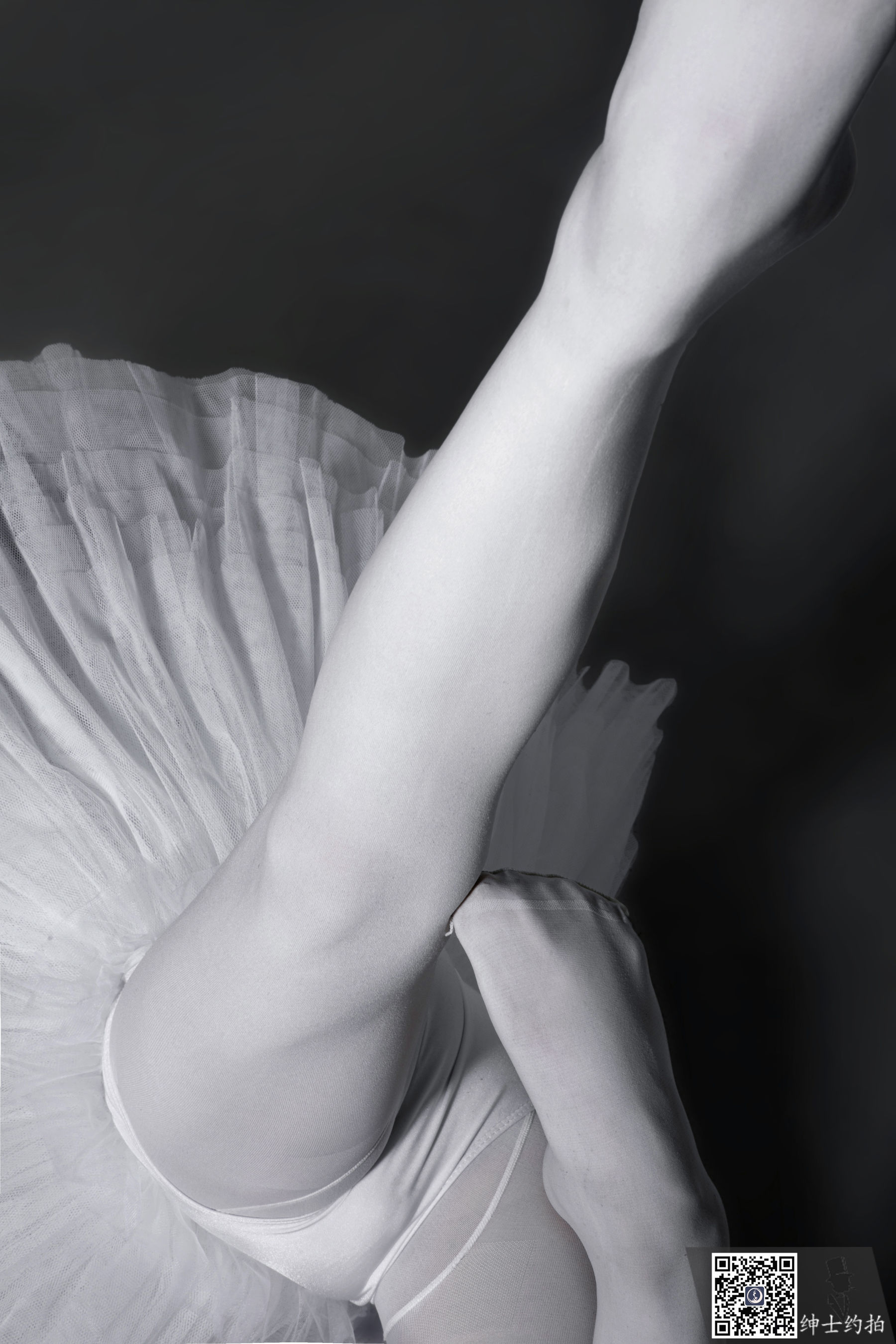 SHENSHI绅士 - SS164 琪琪  第3张