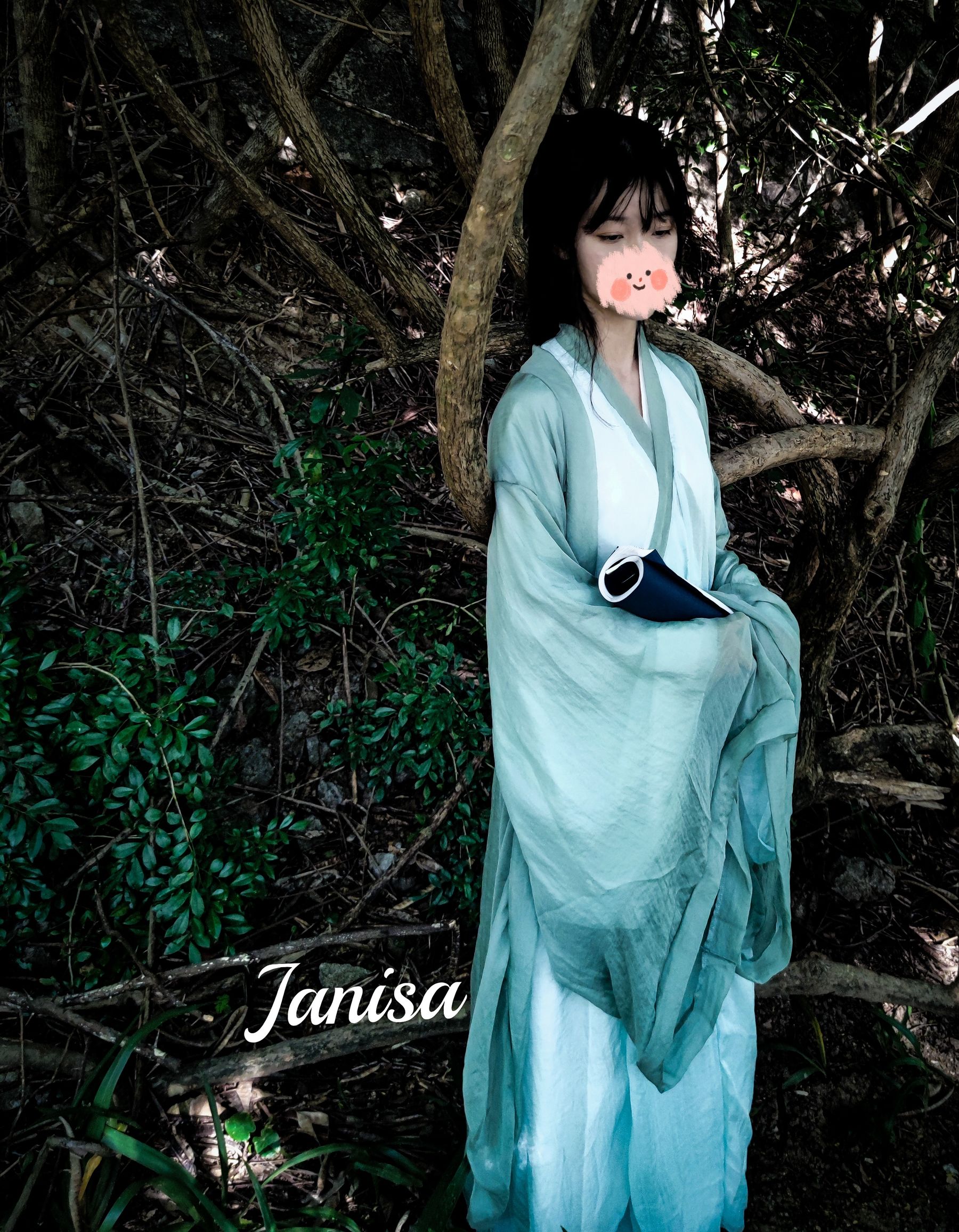 Janisa - 一曲广陵散  第19张