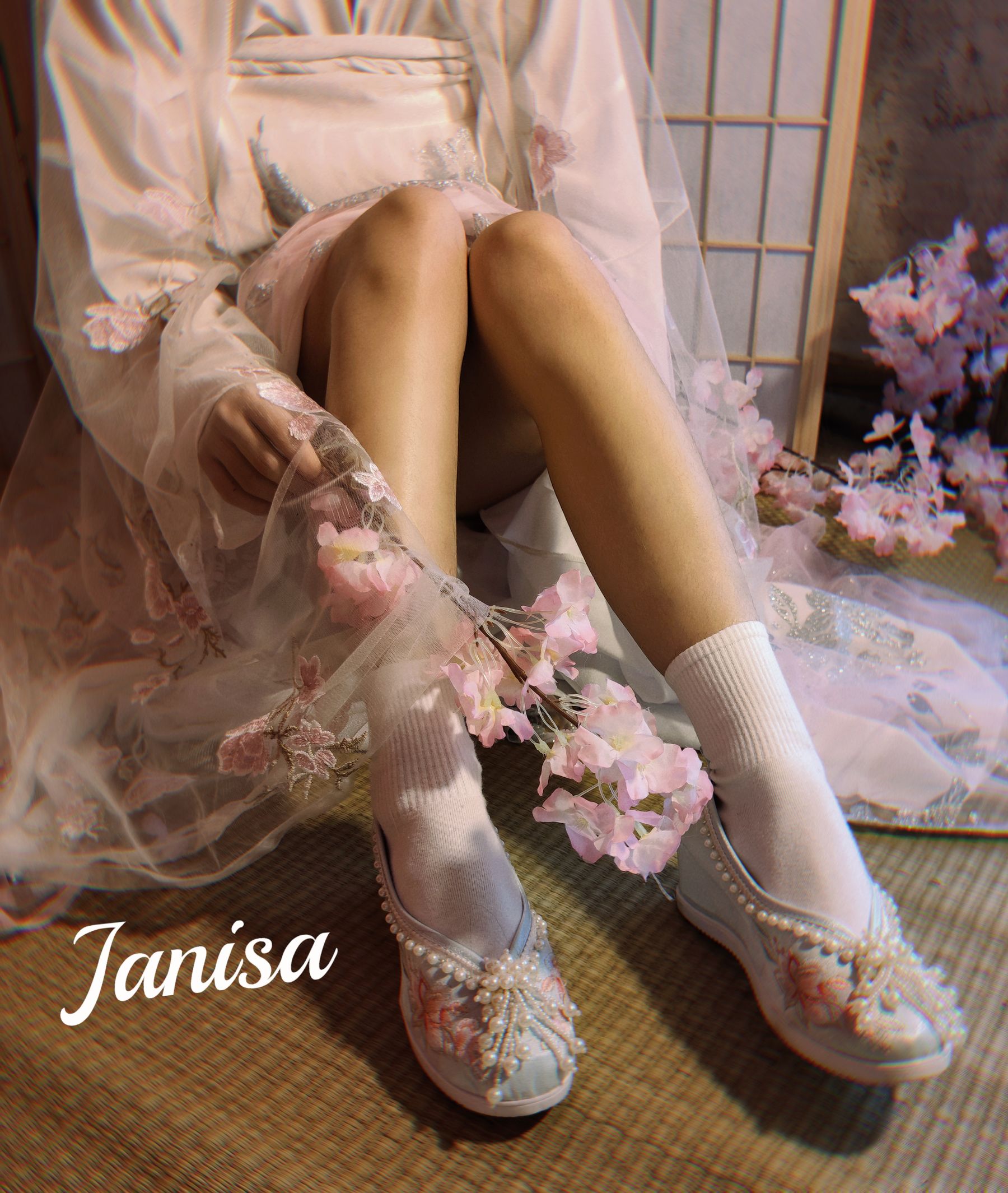 Janisa - 朝花向晚  第9张