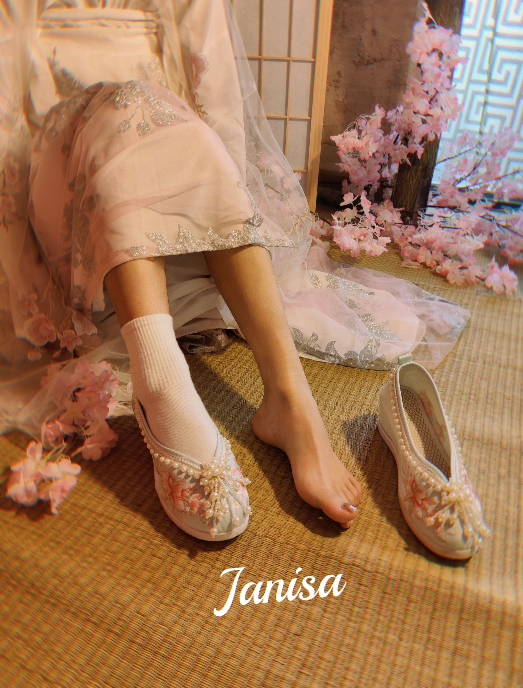 Janisa - 朝花向晚  第11张