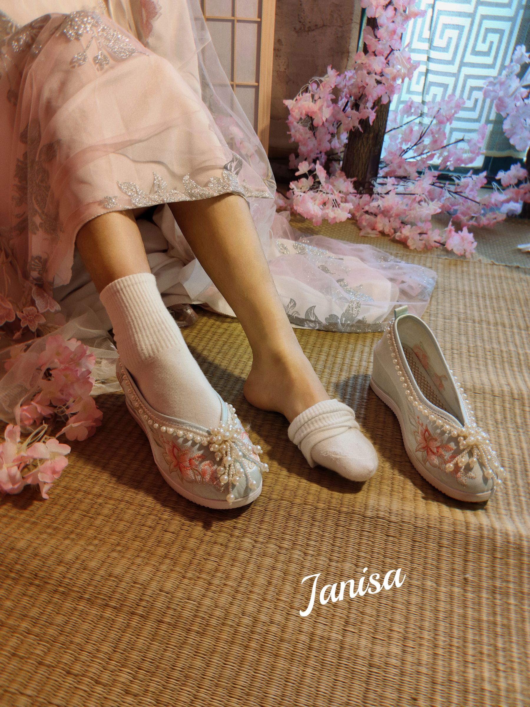 Janisa - 朝花向晚  第10张