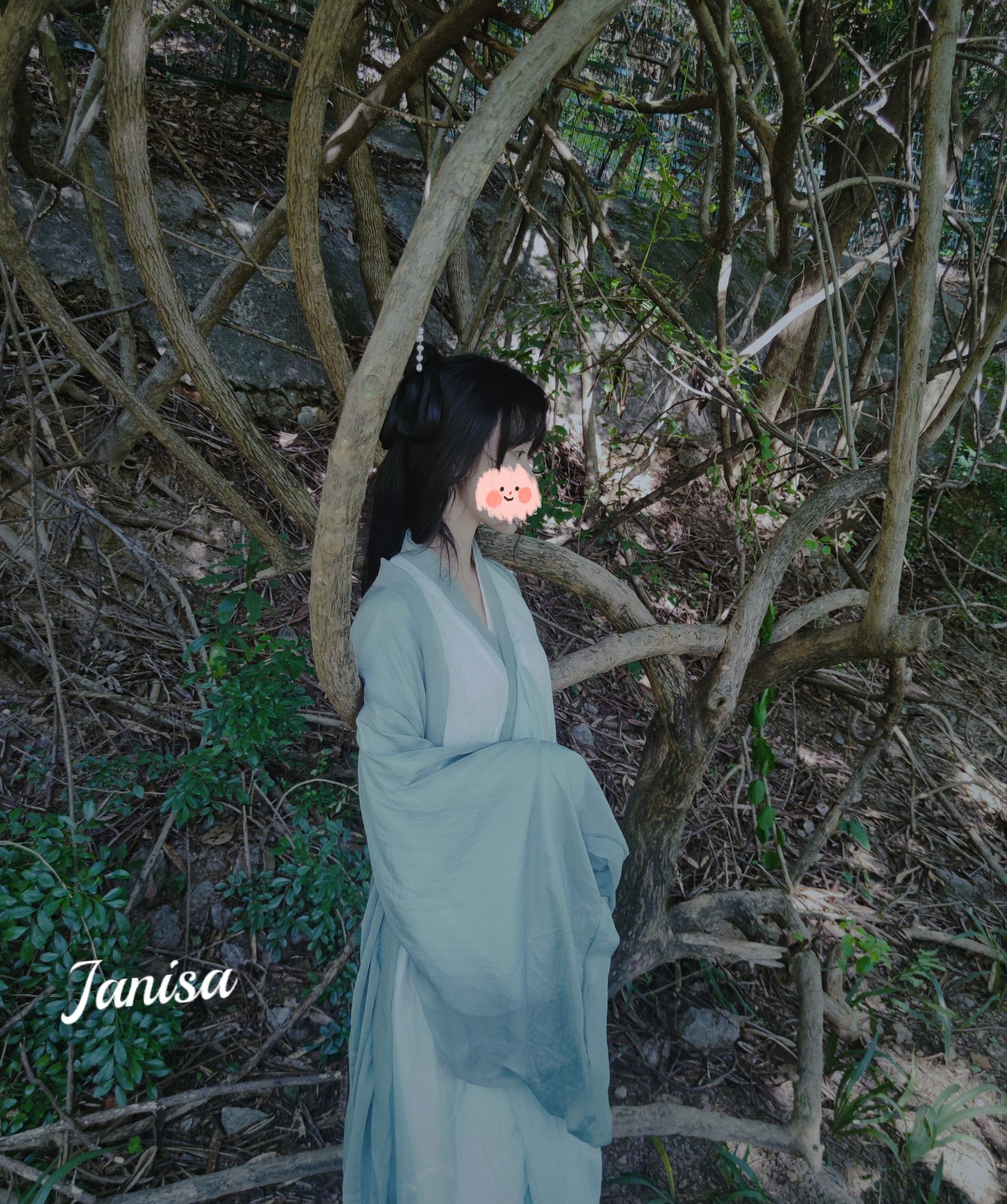 Janisa - 一曲广陵散  第7张