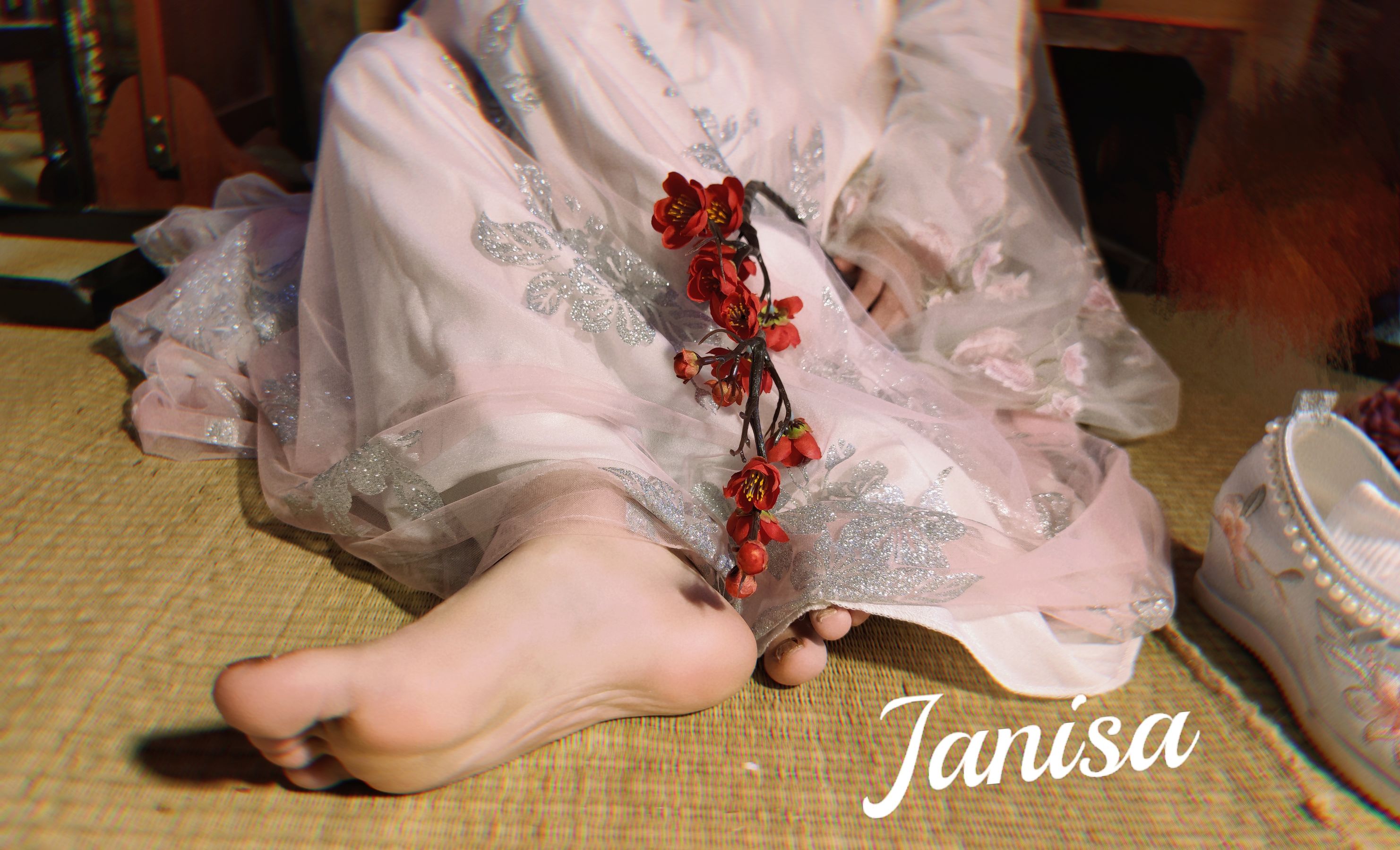 Janisa - 朝花向晚  第15张