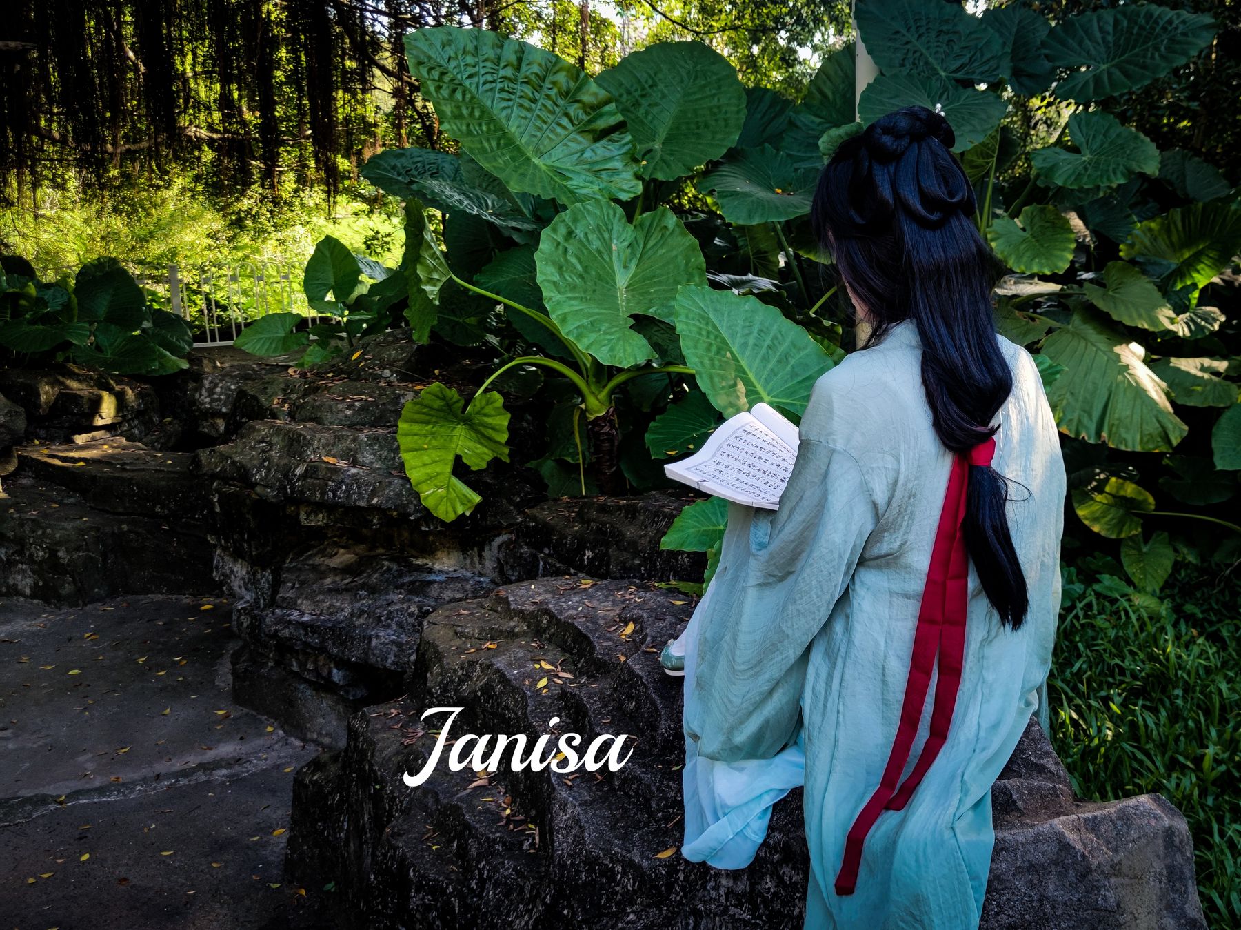 Janisa - 一曲广陵散  第14张