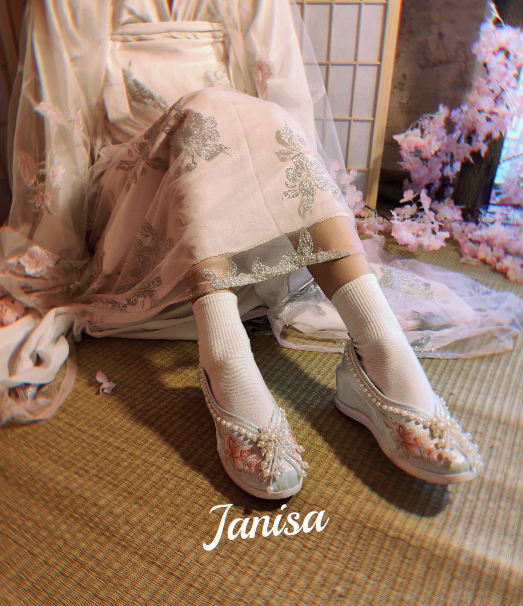 Janisa - 朝花向晚  第8张