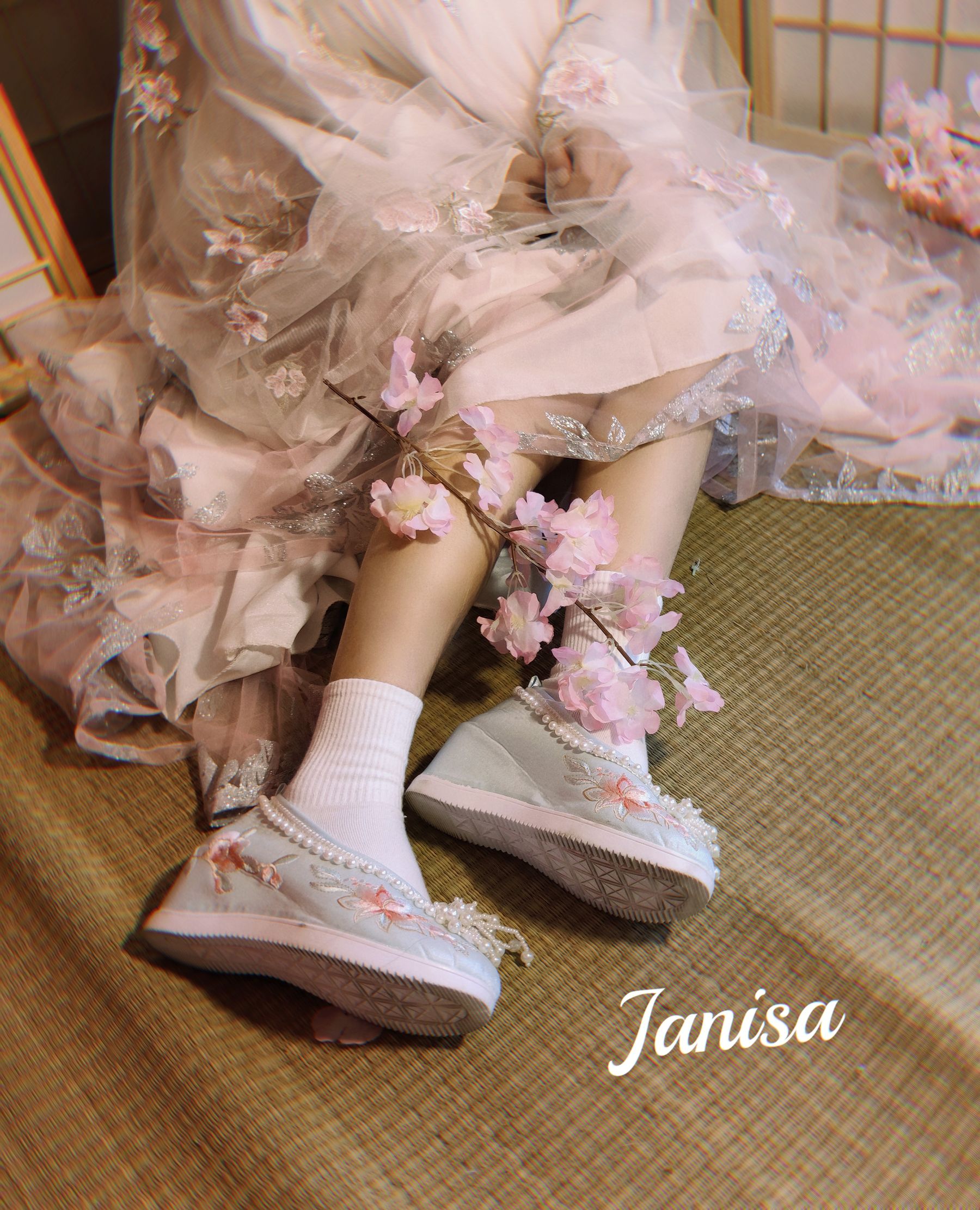 Janisa - 朝花向晚  第6张