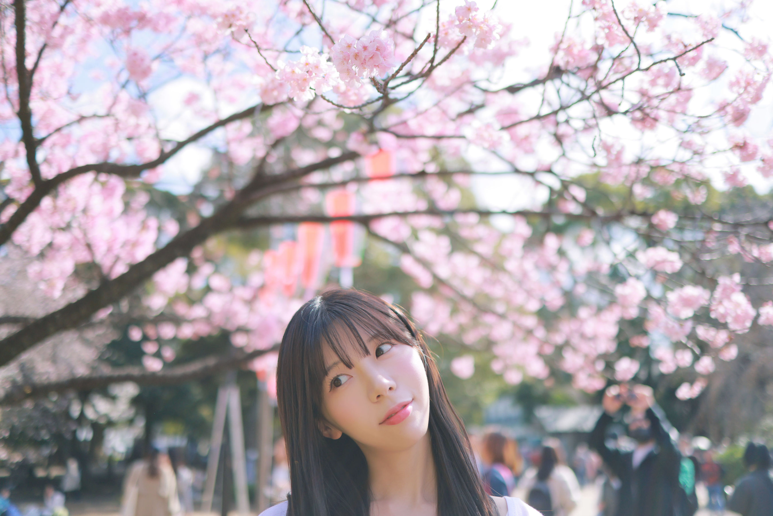 [PATREON] Sovely - Sakura Vol.3  第21张