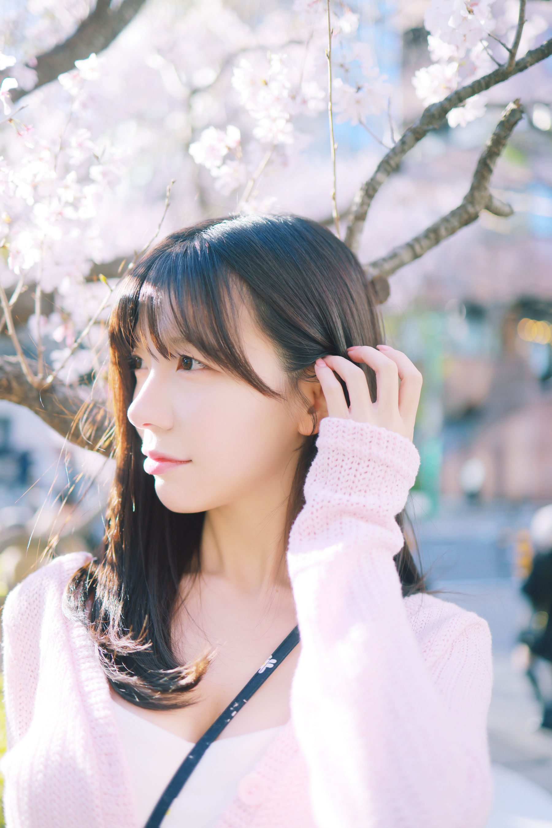 [PATREON] Sovely - Sakura Vol.1  第27张