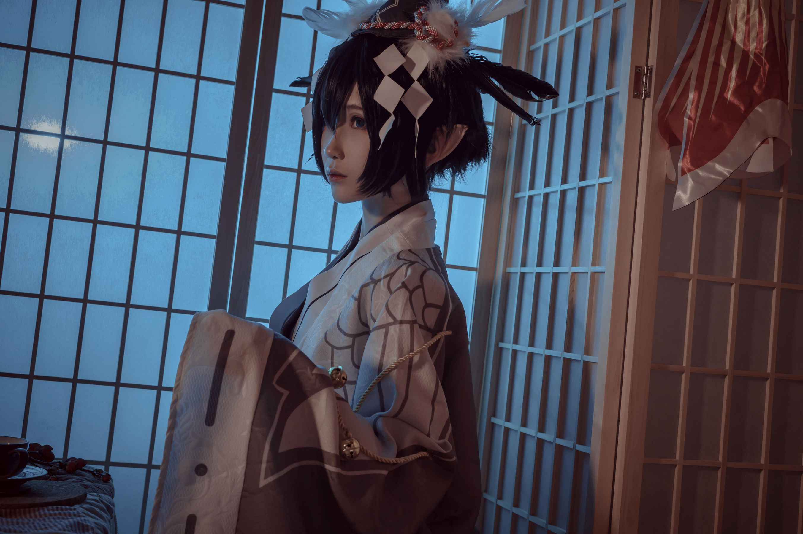 妖君白研 - 凹凸世界雷狮和风雷卡  第11张