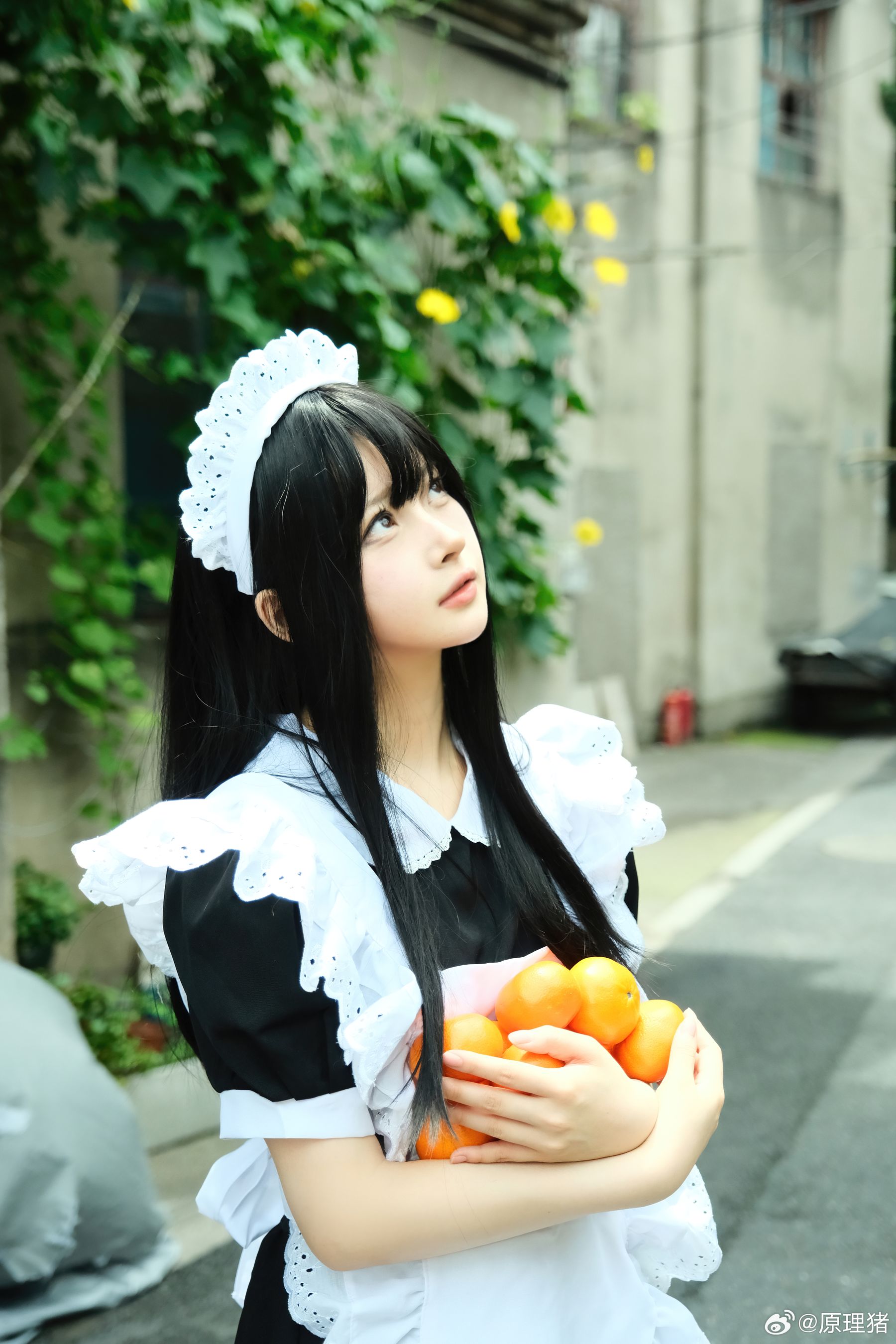 白莉爱吃巧克力 - 原理猪 深巷女仆  第13张