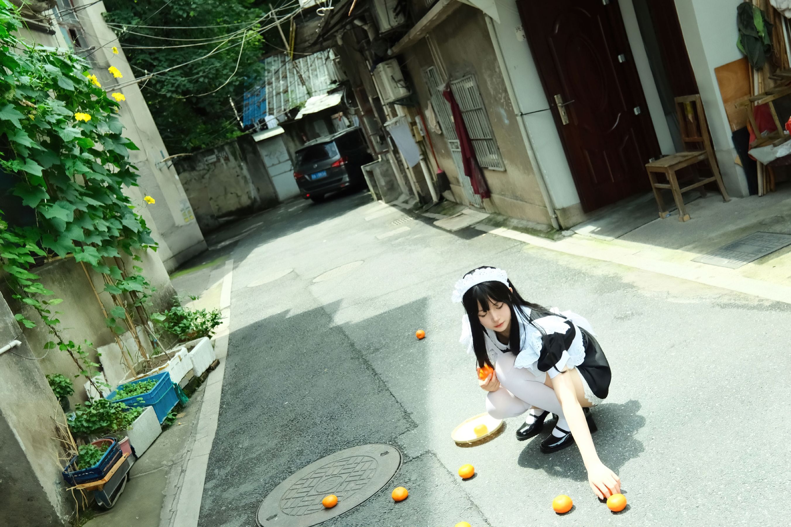 白莉爱吃巧克力 - 原理猪 深巷女仆  第1张