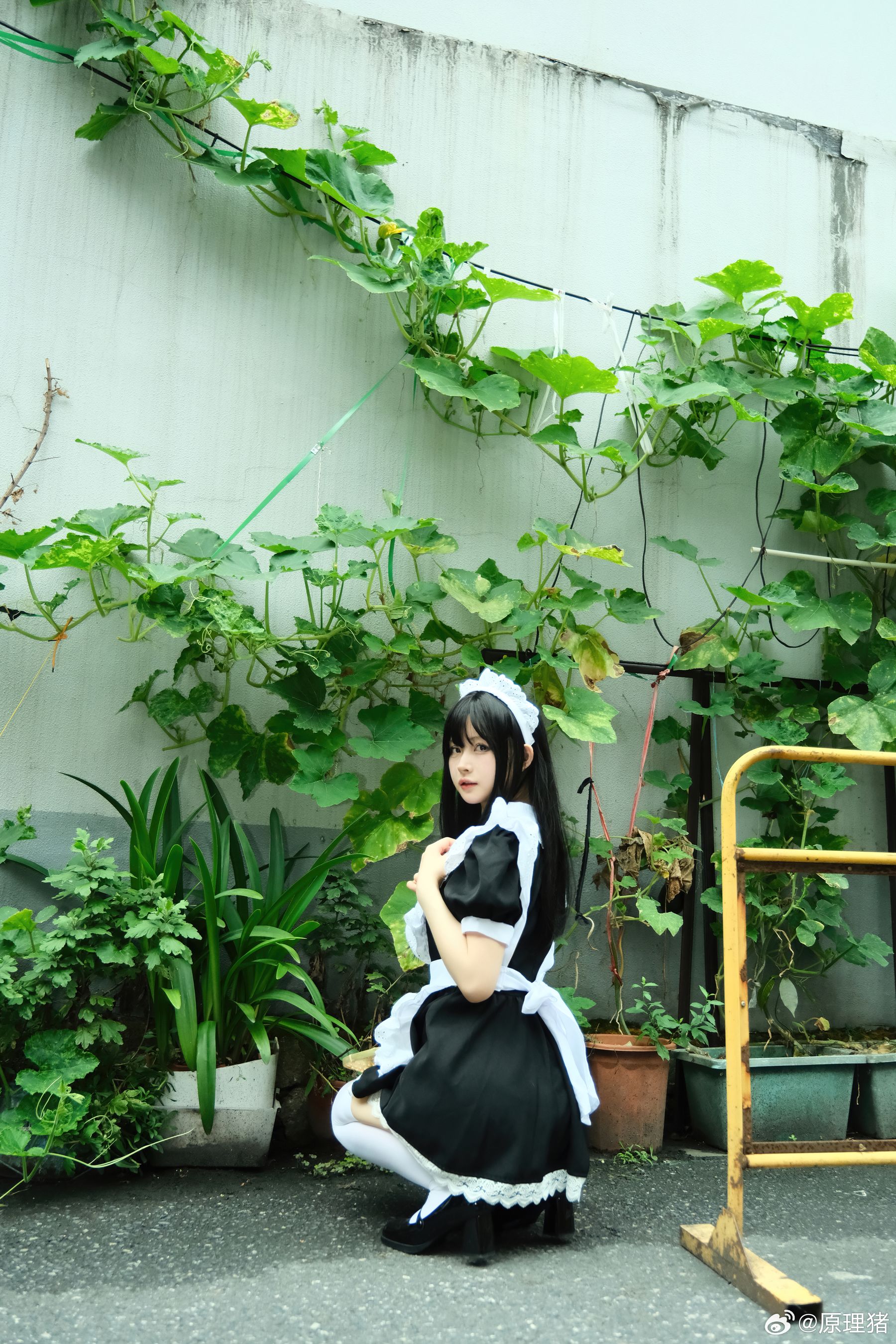 白莉爱吃巧克力 - 原理猪 深巷女仆  第14张