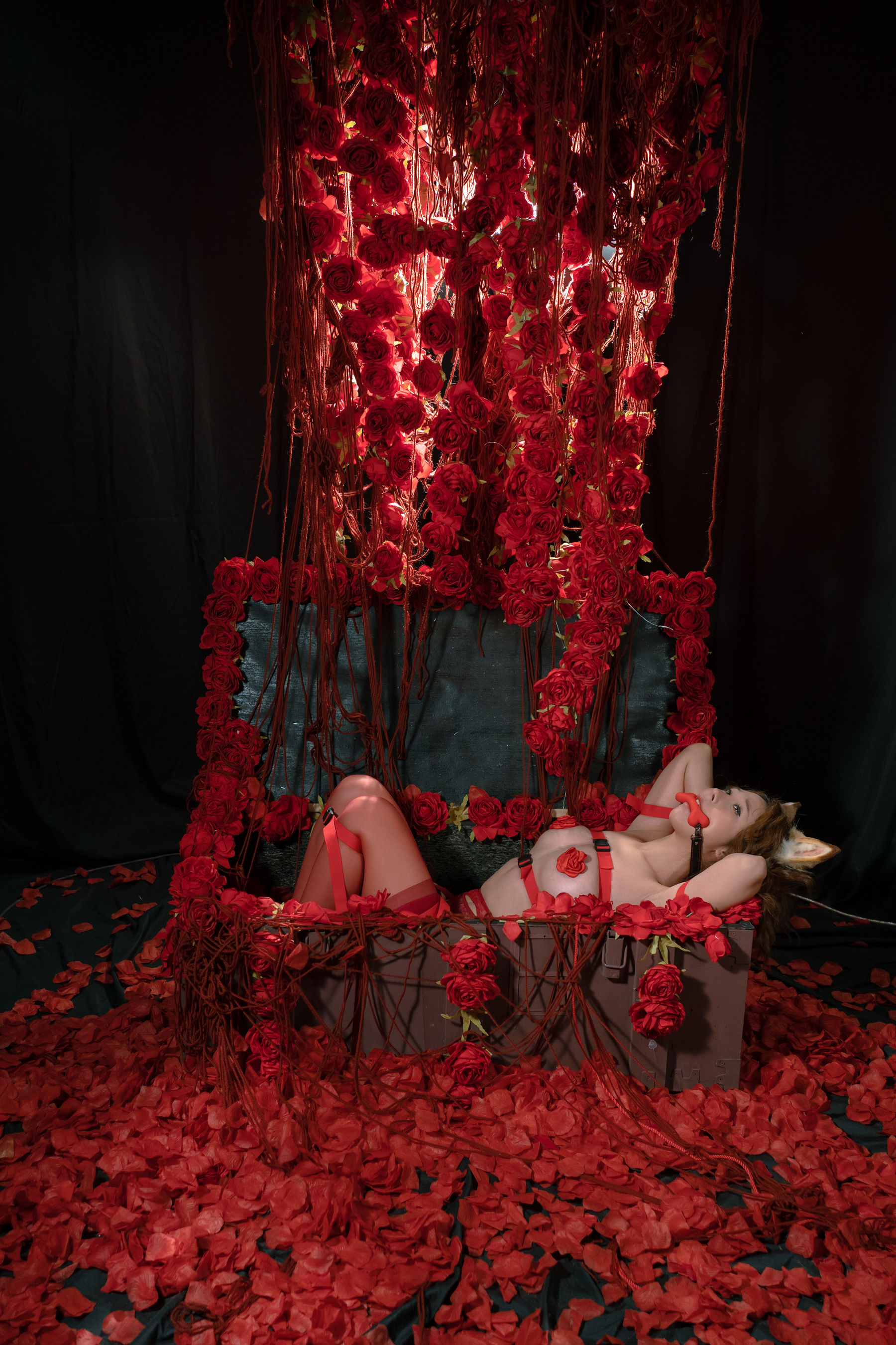 云溪溪 - 奶桃 狗狗4.0  第1张