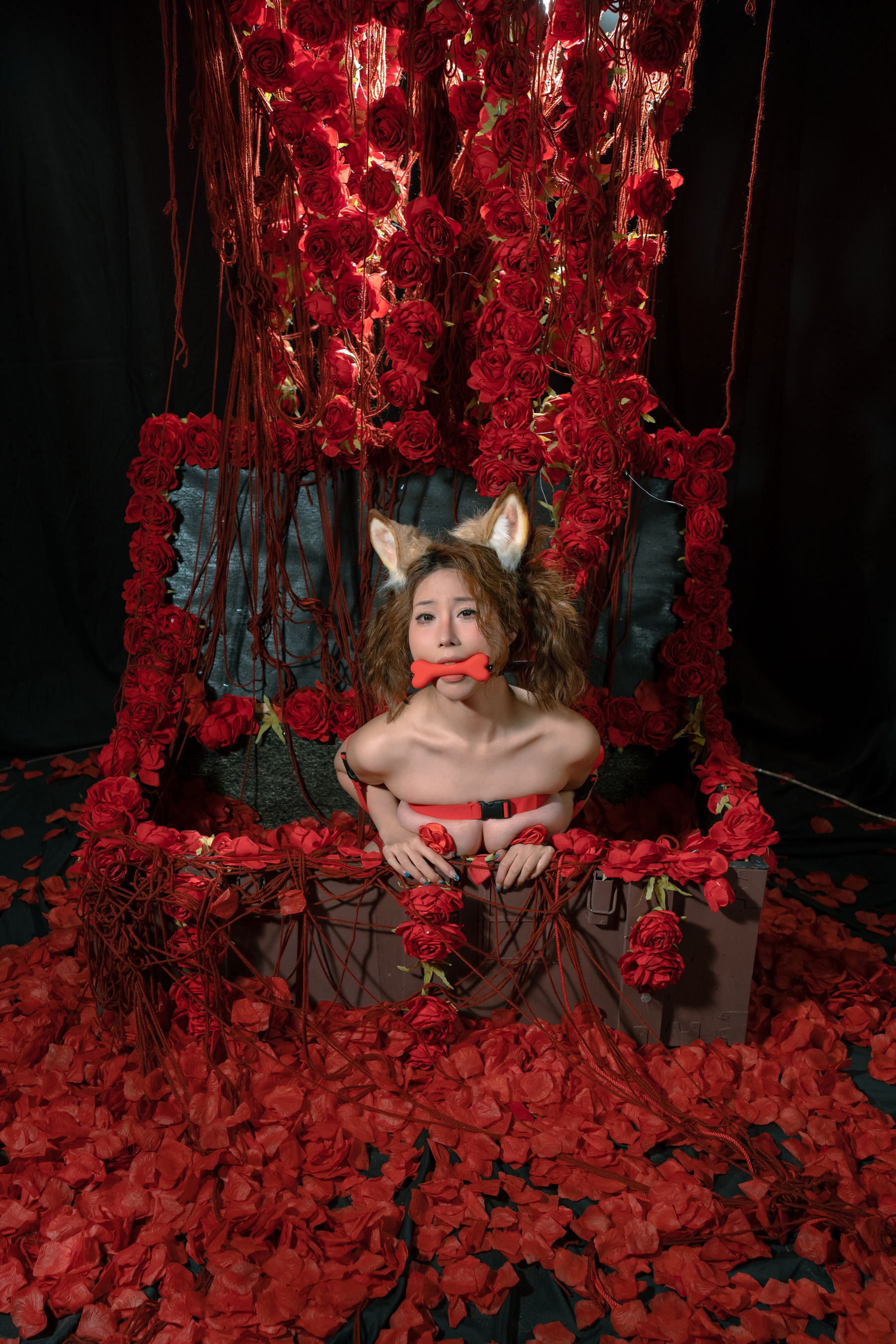 云溪溪 - 奶桃 狗狗4.0  第9张