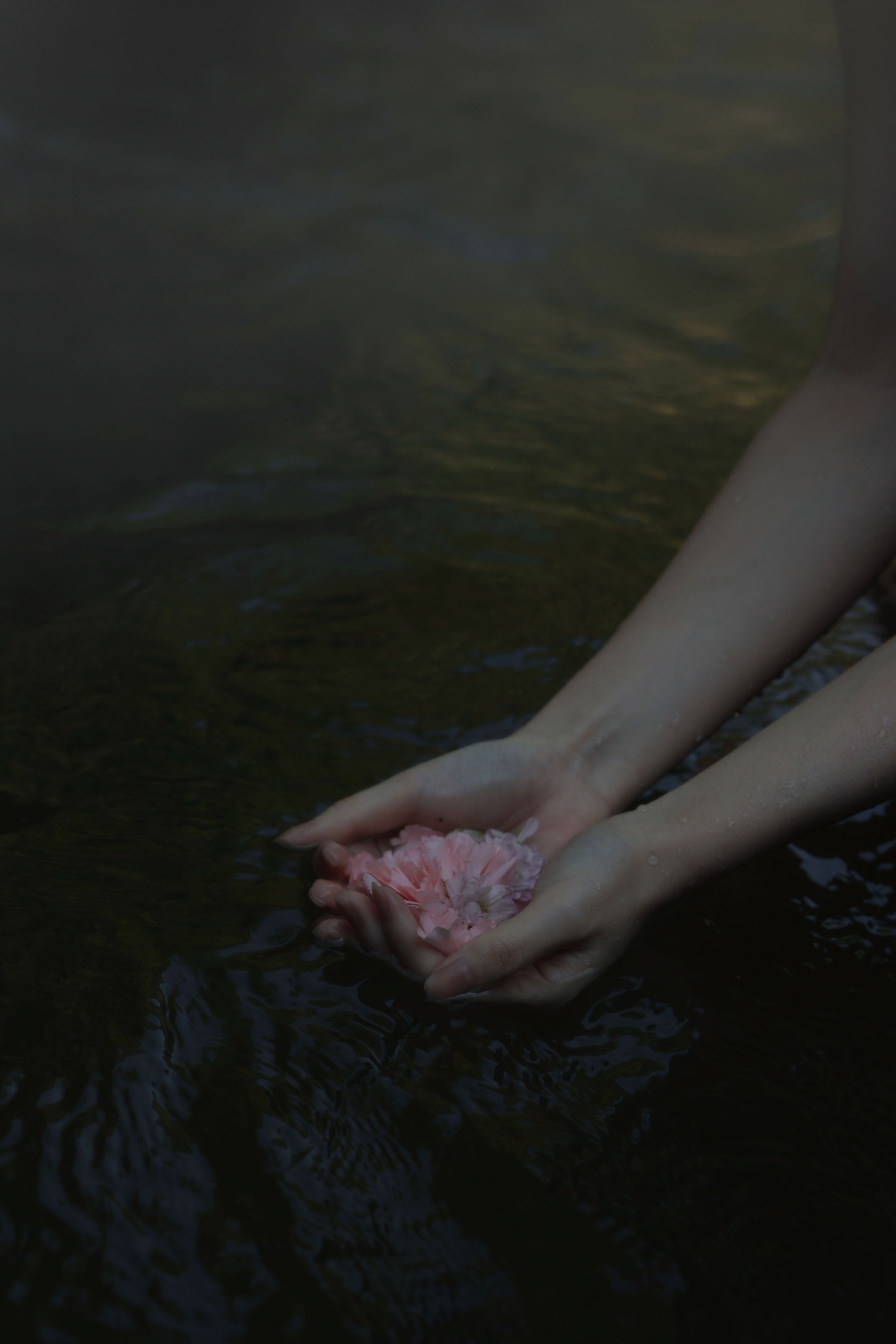 桃良阿宅 - 屿间  第4张