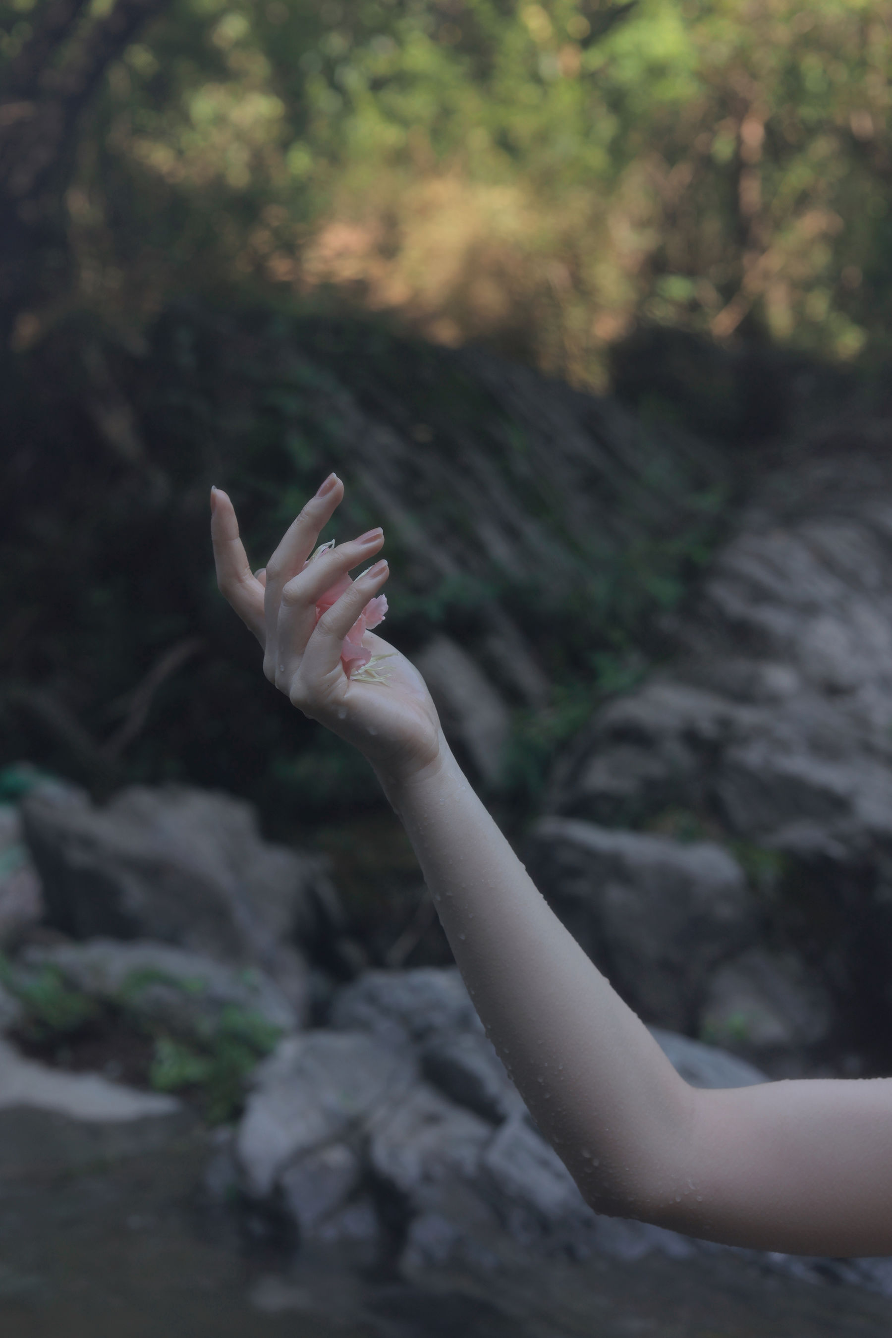 桃良阿宅 - 屿间  第3张