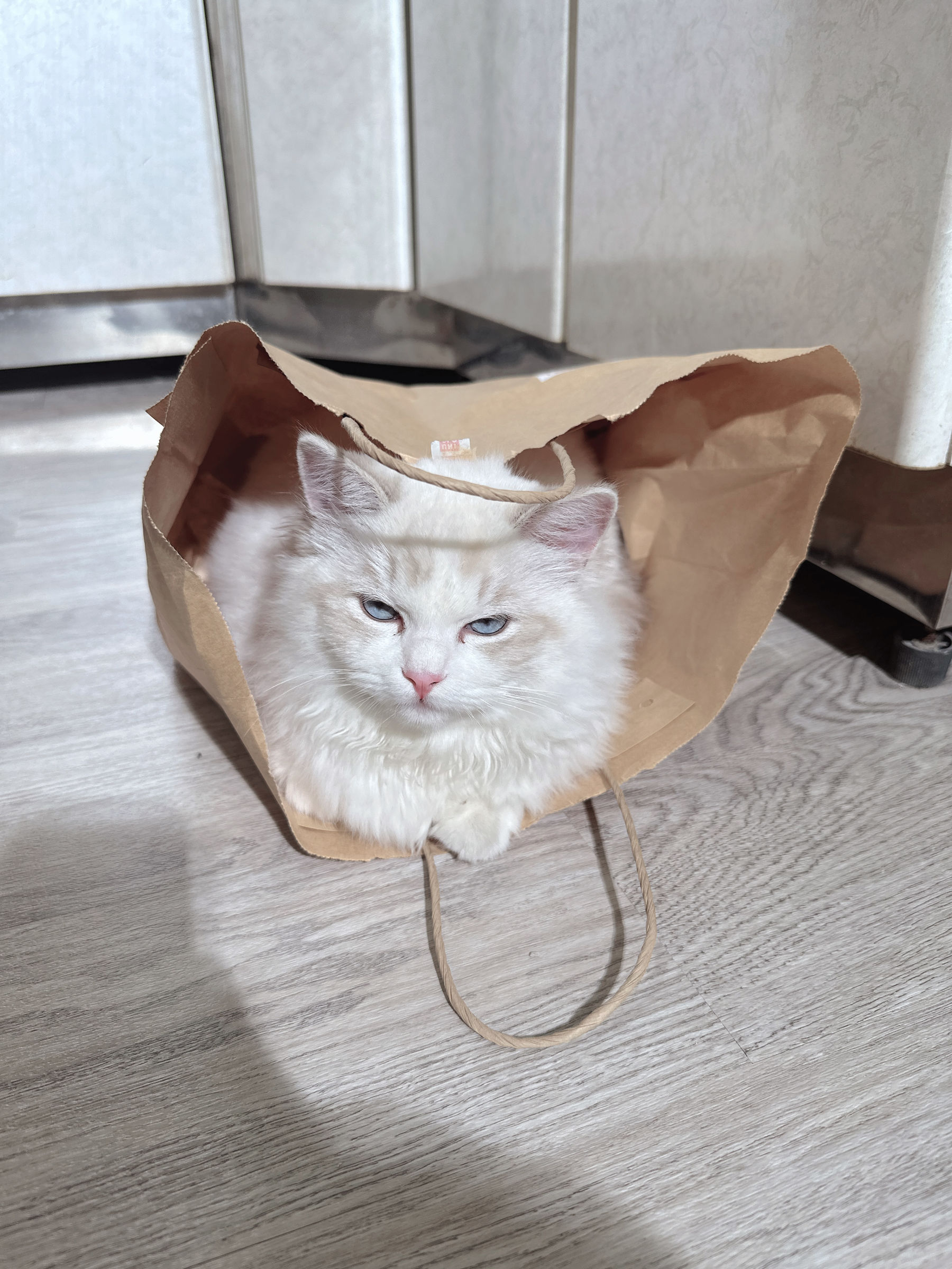 泥泥汝 - 居家  第24张