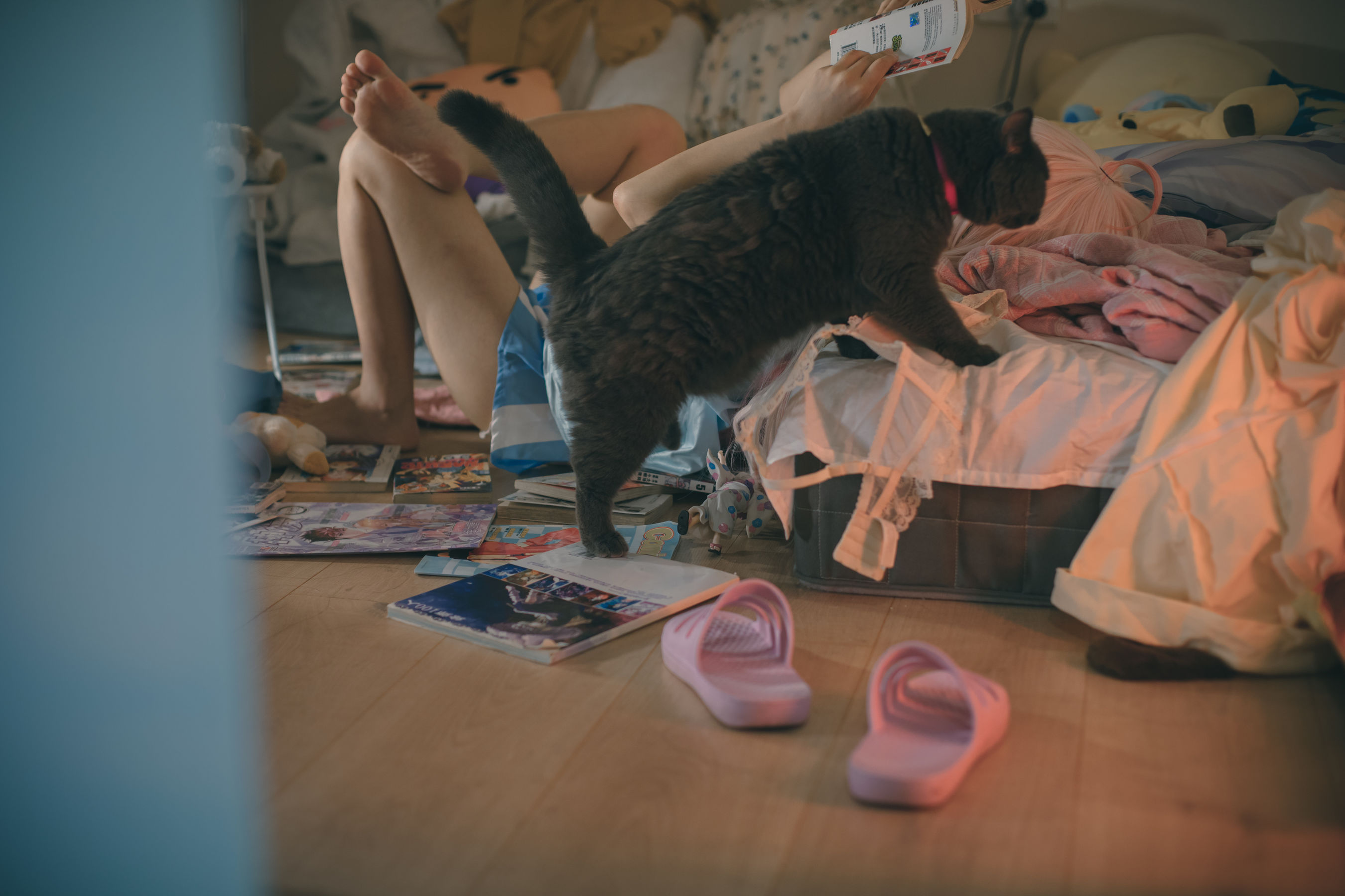 神沢永莉 - 别当欧尼酱  第2张