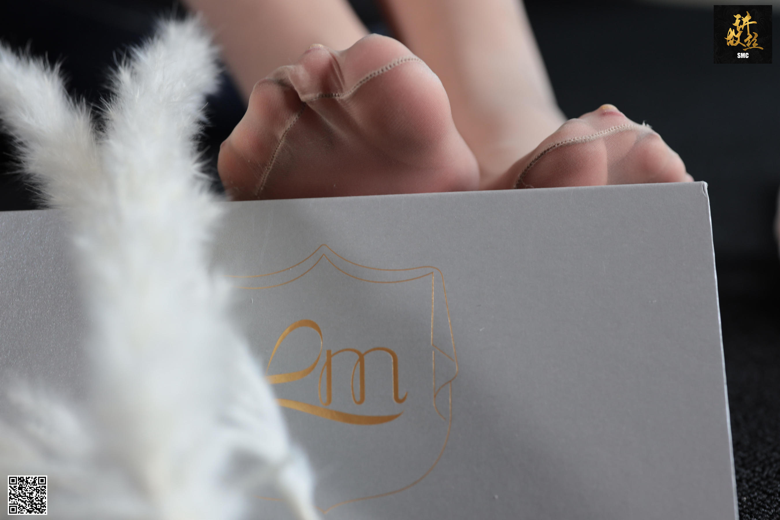 [丝慕] 特写集TX002 诗晴 《诗晴的肉色丝足》  第21张