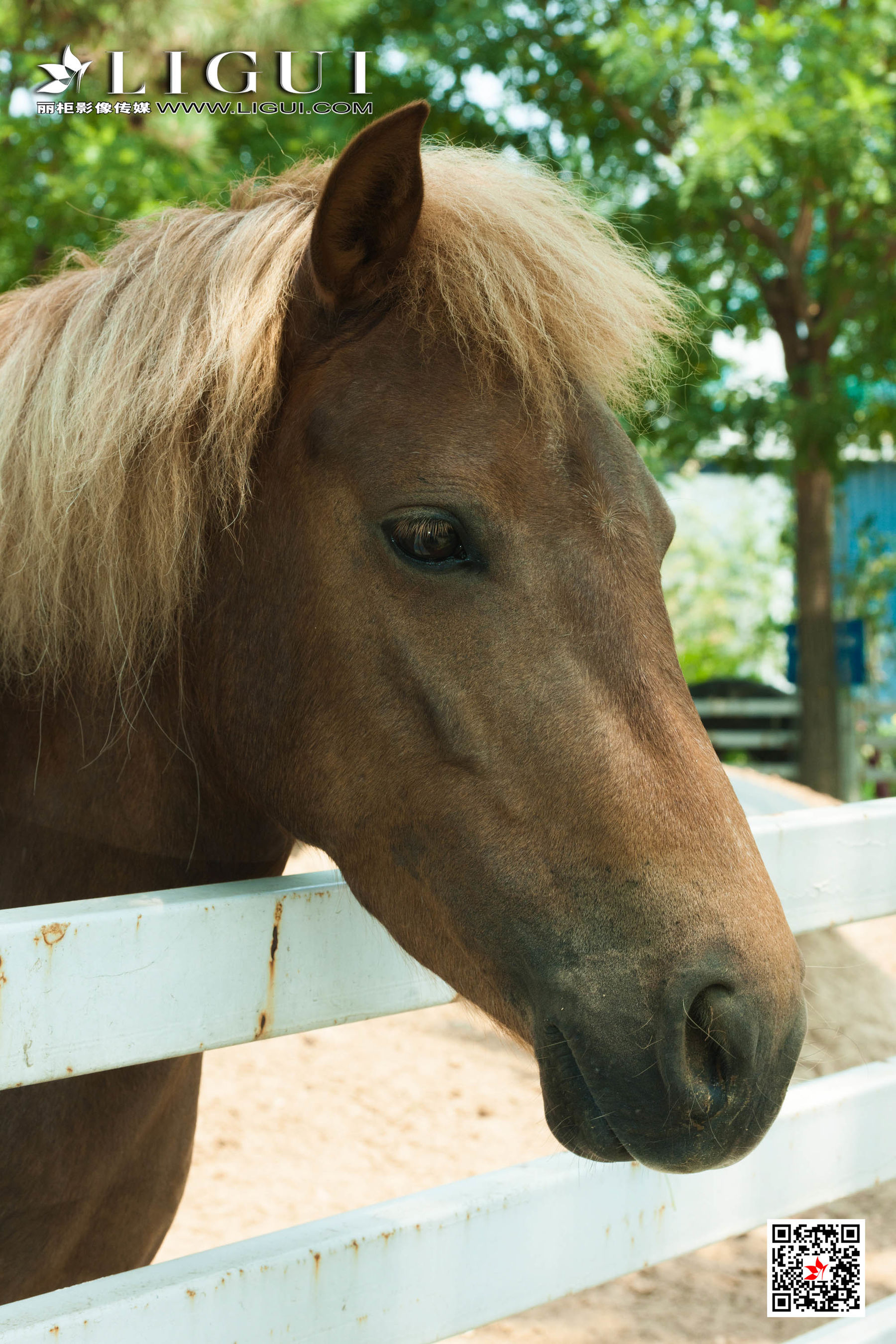 [丽柜Ligui] 网络丽人 Model 甜甜&安娜  第8张