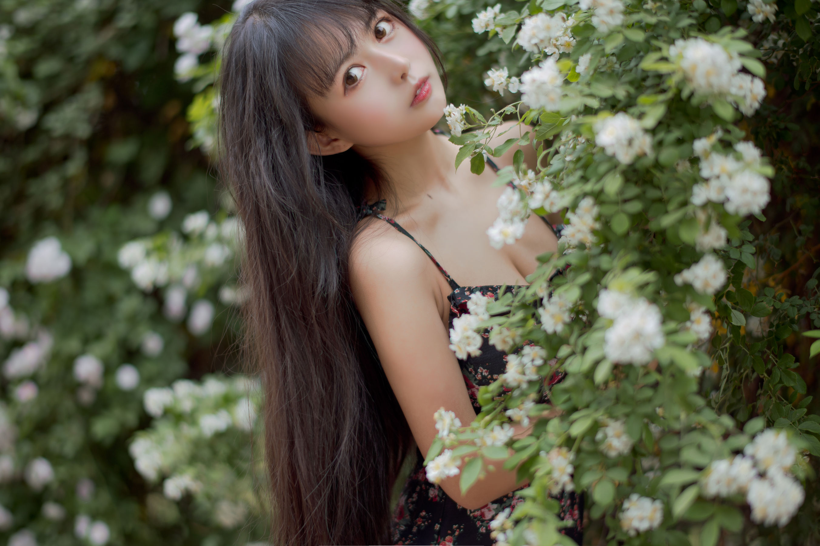  大眼萌妹黑猫猫OvO - 蔷薇1 第21张
