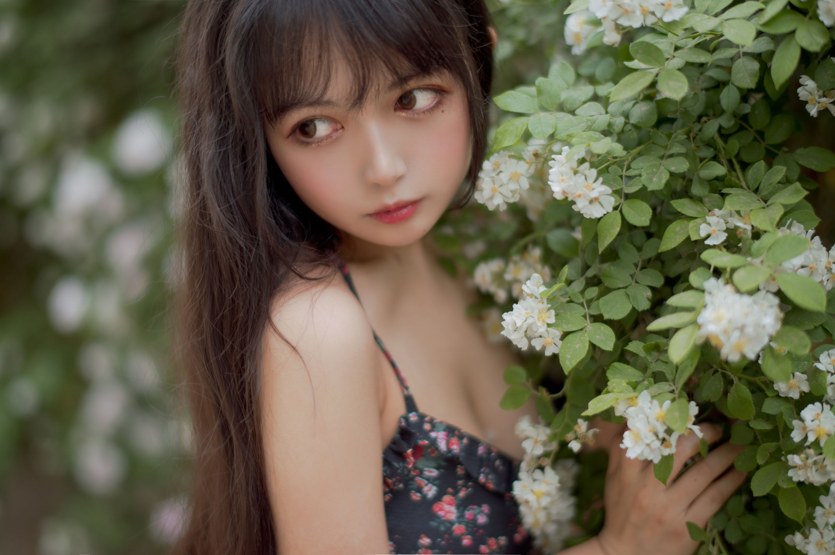  大眼萌妹黑猫猫OvO - 蔷薇1 第26张