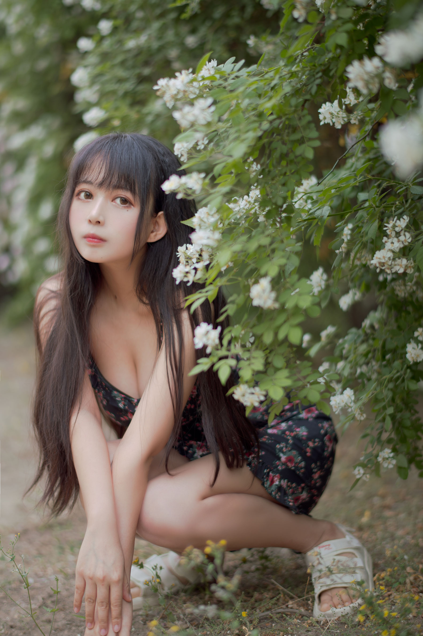  大眼萌妹黑猫猫OvO - 蔷薇1 第15张