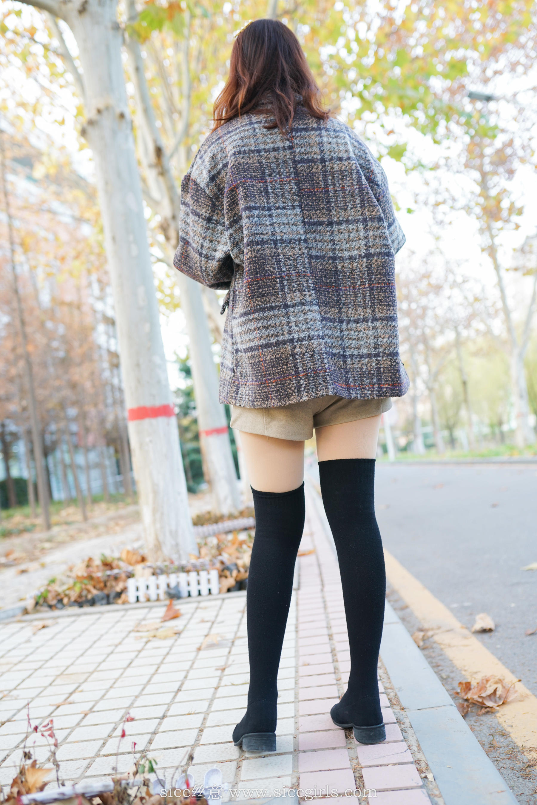 [丝意SIEE] No.401 琴琴 冬韵