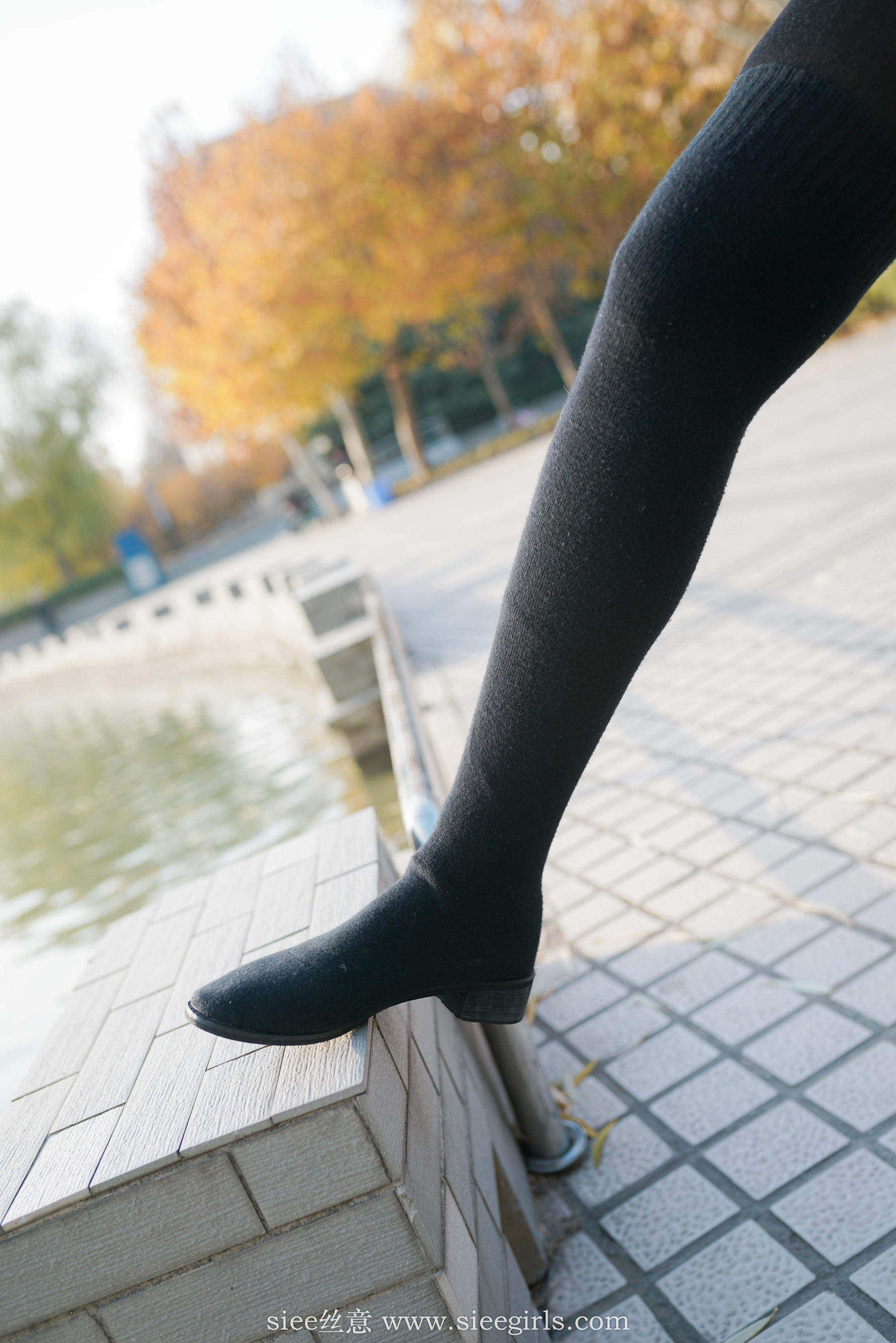 [丝意SIEE] No.393 琴琴 御姐范  第79张