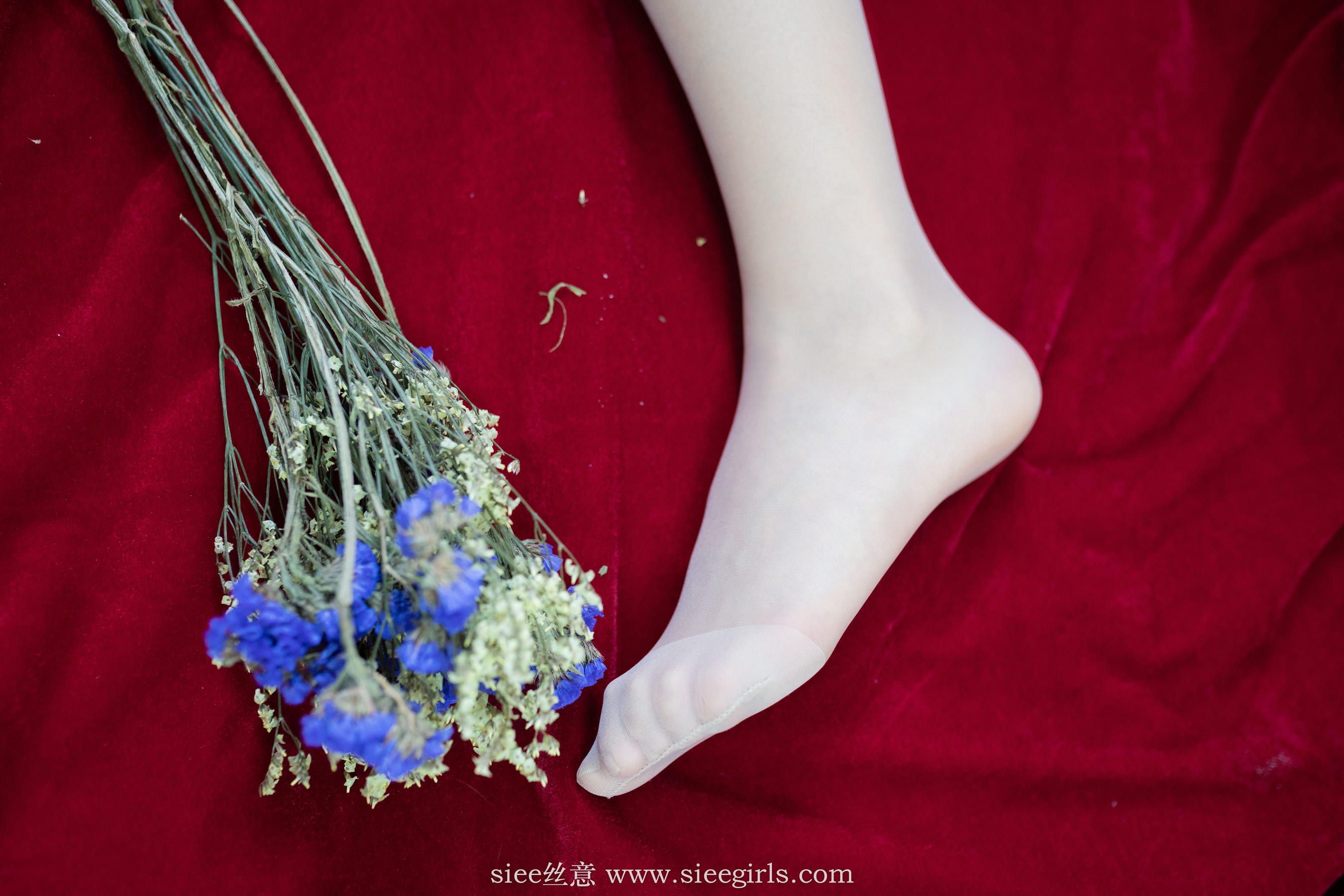 [丝意SIEE] No.399 蓓蓓 御姐-圣诞节特辑  第39张