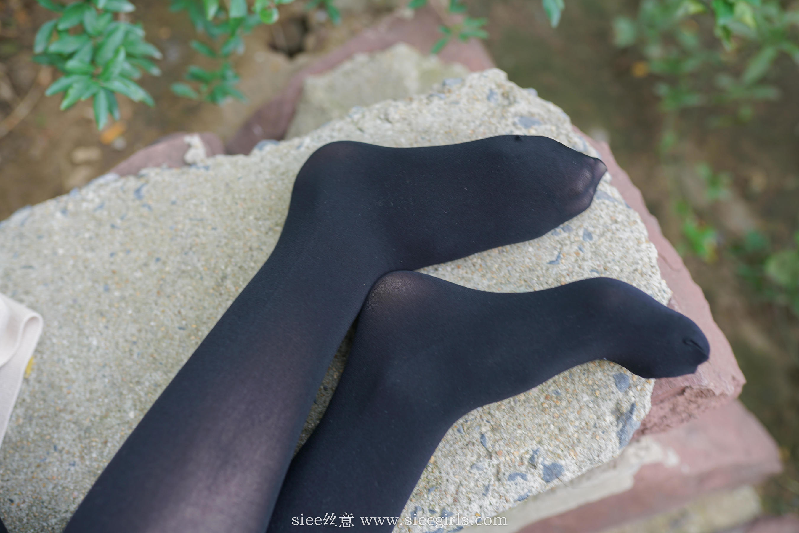 [丝意SIEE] No.400 芊芊 点点秋叶潇潇风  第13张