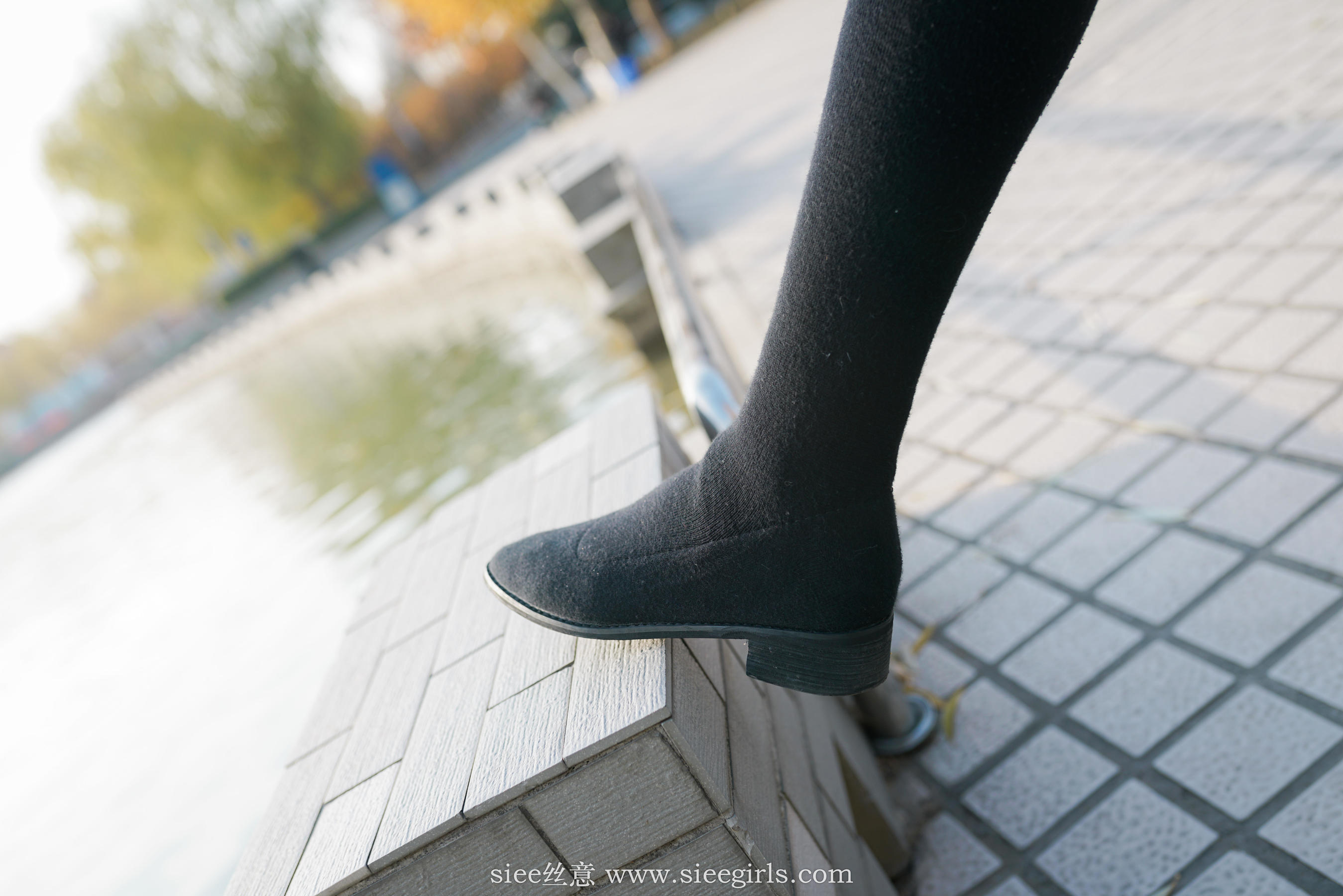 [丝意SIEE] No.393 琴琴 御姐范  第77张