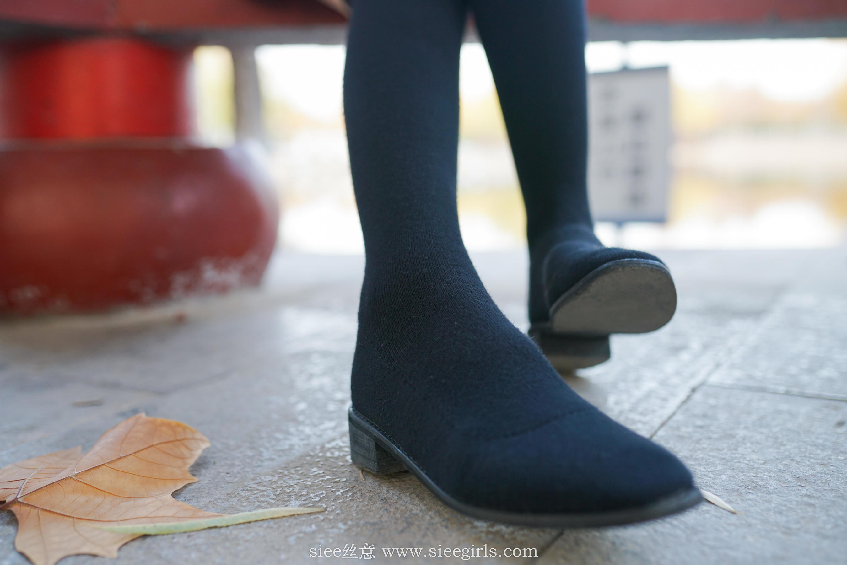 [丝意SIEE] No.401 琴琴 冬韵  第20张