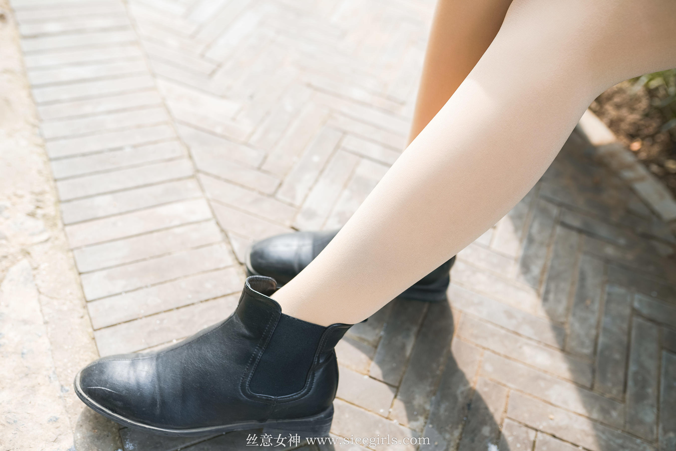 [丝意SIEE] 雪儿 秋风催红的枫叶  第20张