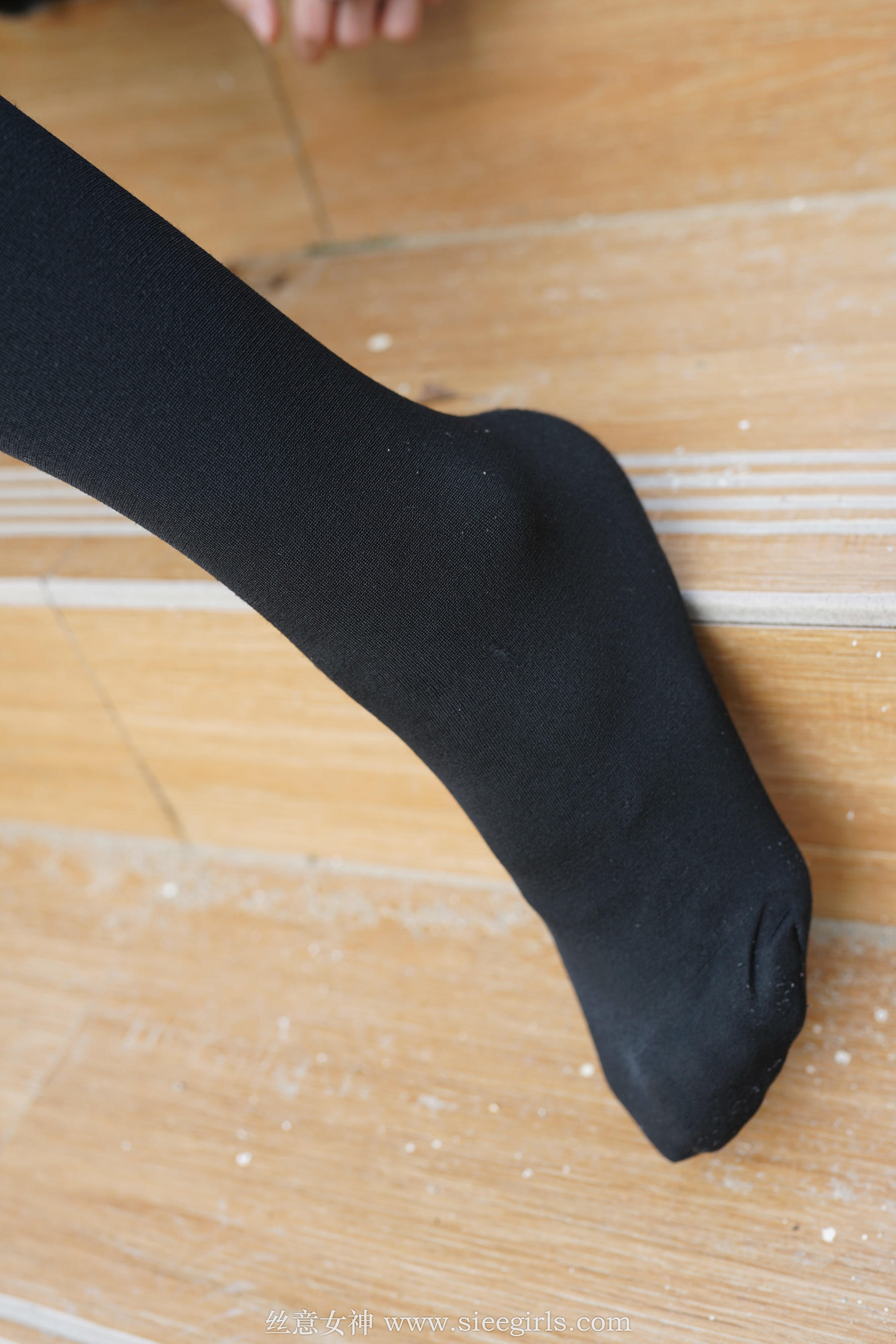 [丝意SIEE] 蓓蓓 一叶残荷，一场秋寒  第68张