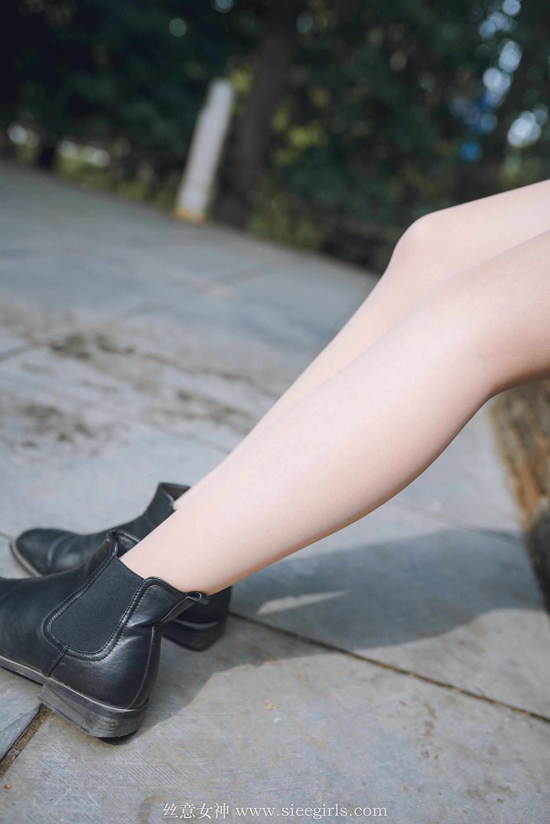 [丝意SIEE] 雪儿 落叶的情愫  第4张