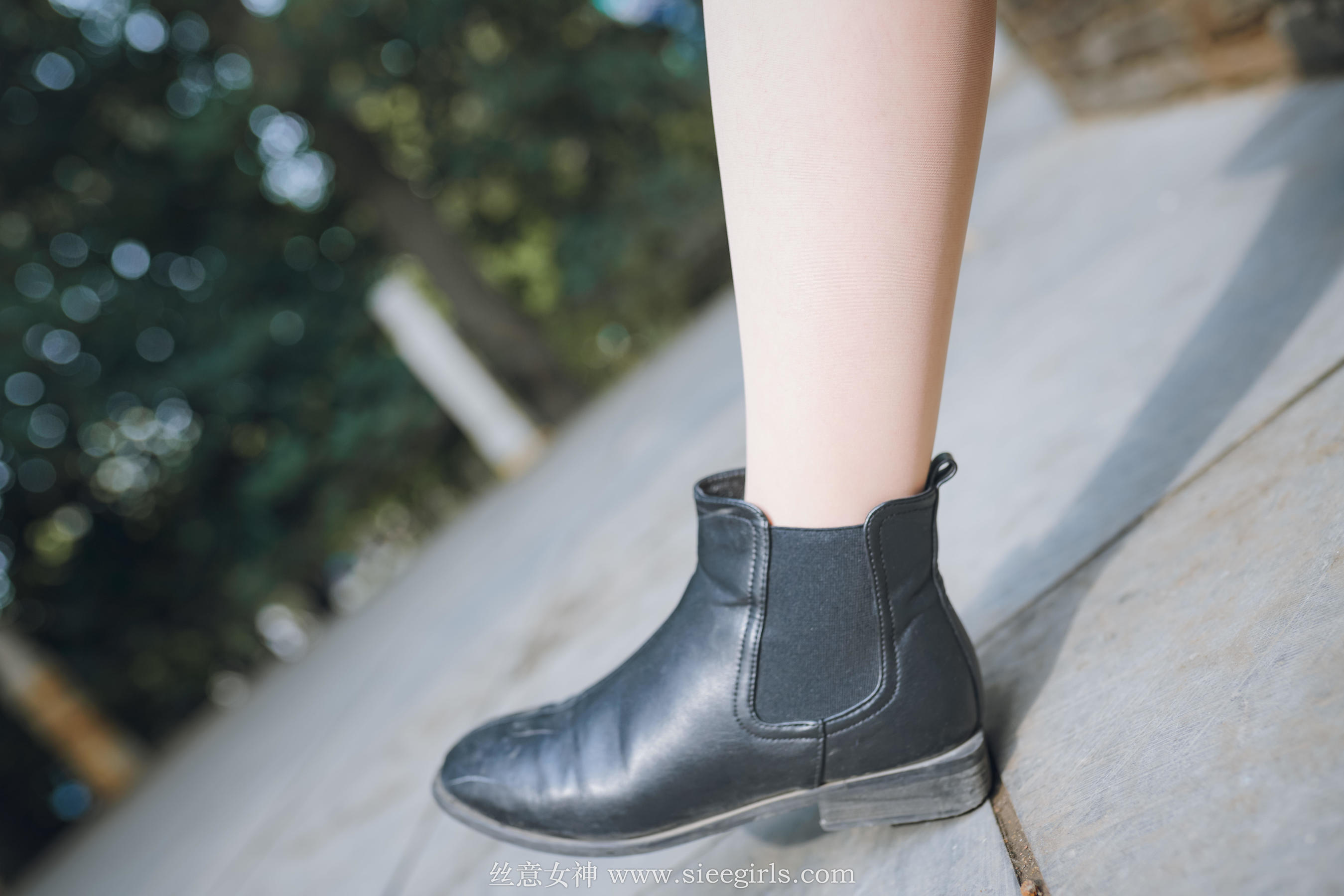 [丝意SIEE] 雪儿 落叶的情愫  第6张