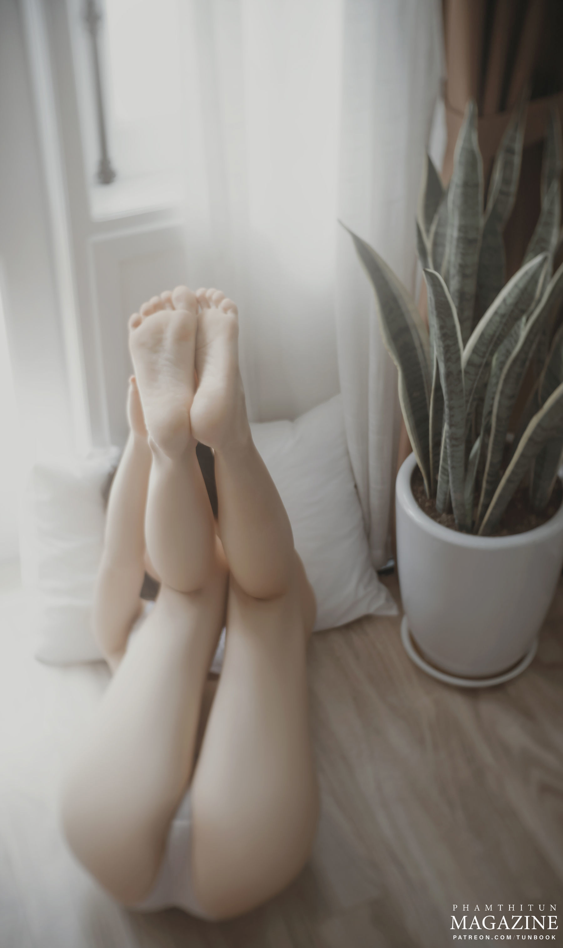  Patreon set AB49 第18张